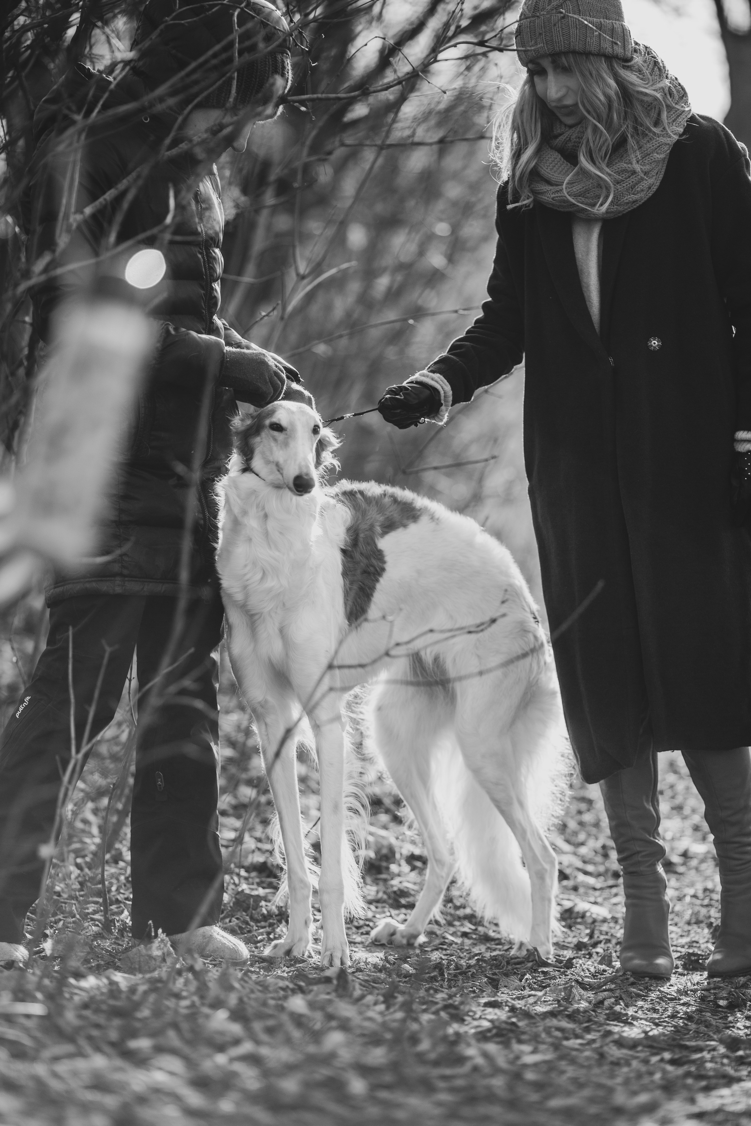 Sviteroff. Autumn collection 2019. Tatiana Smirnova — Photographer