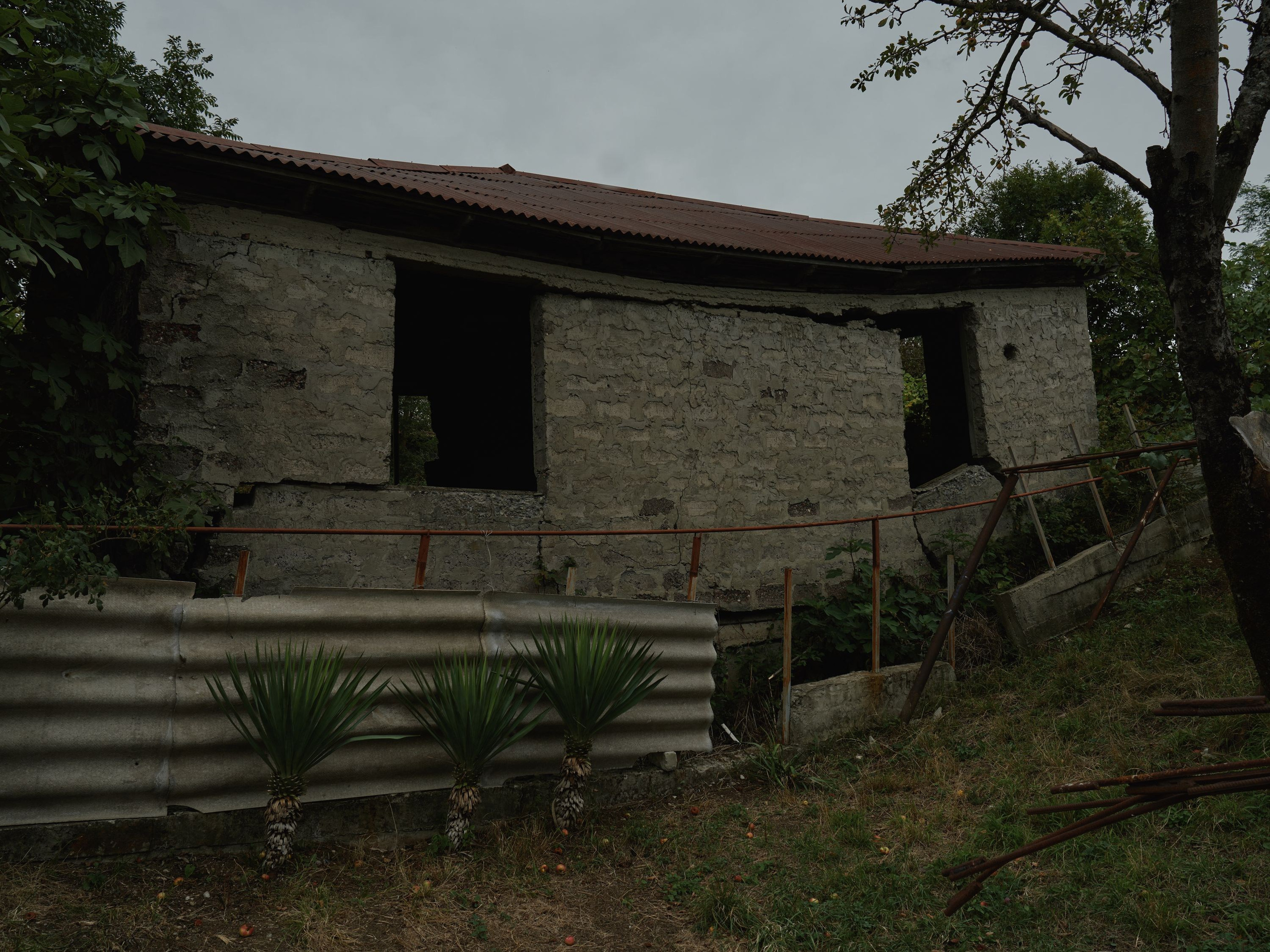 Scars of Shukruti. Egor Borie