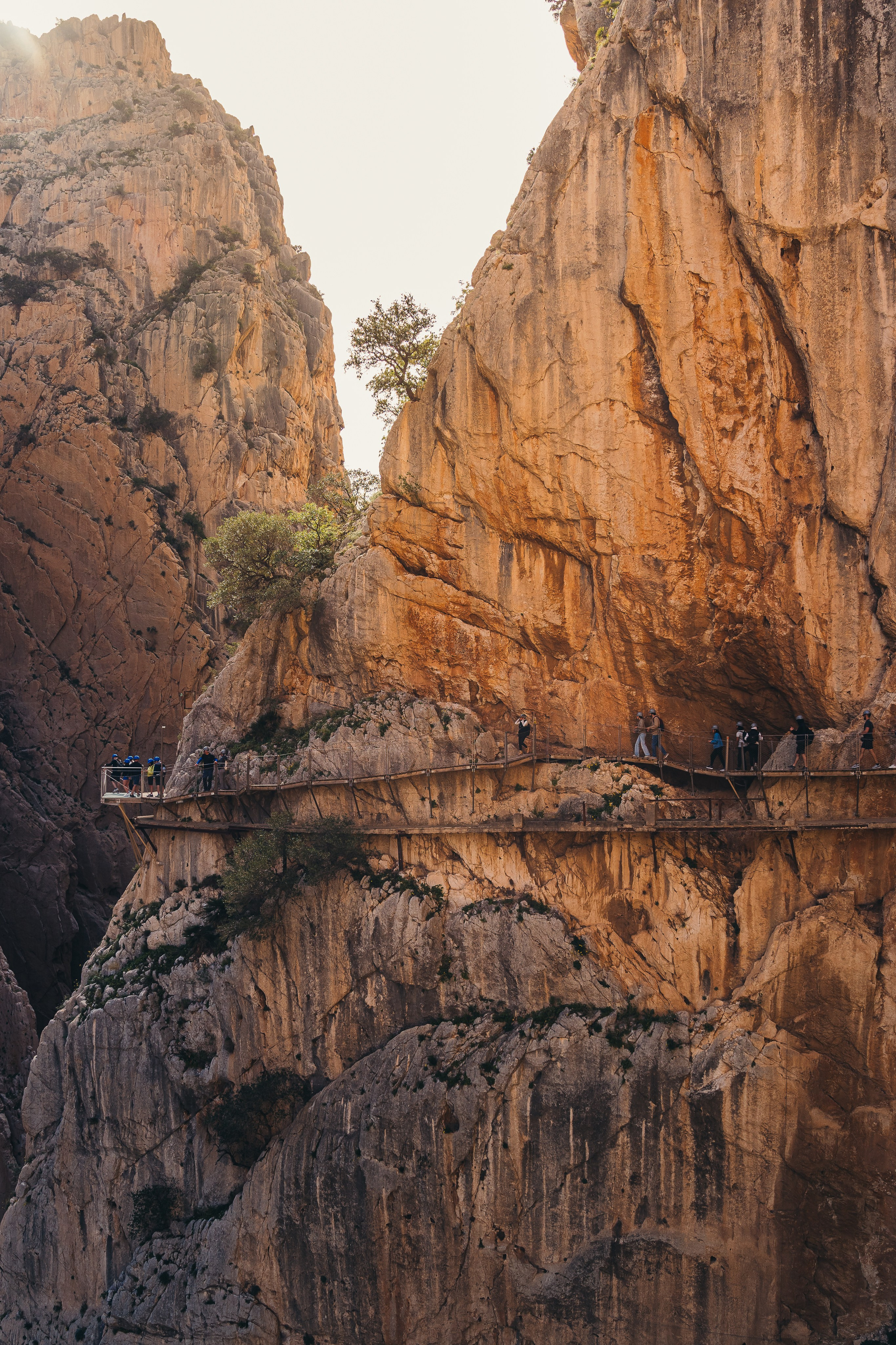 Galery. Fotografie de Familie, Nuntă și Evenimente - Marian V. Munteanu