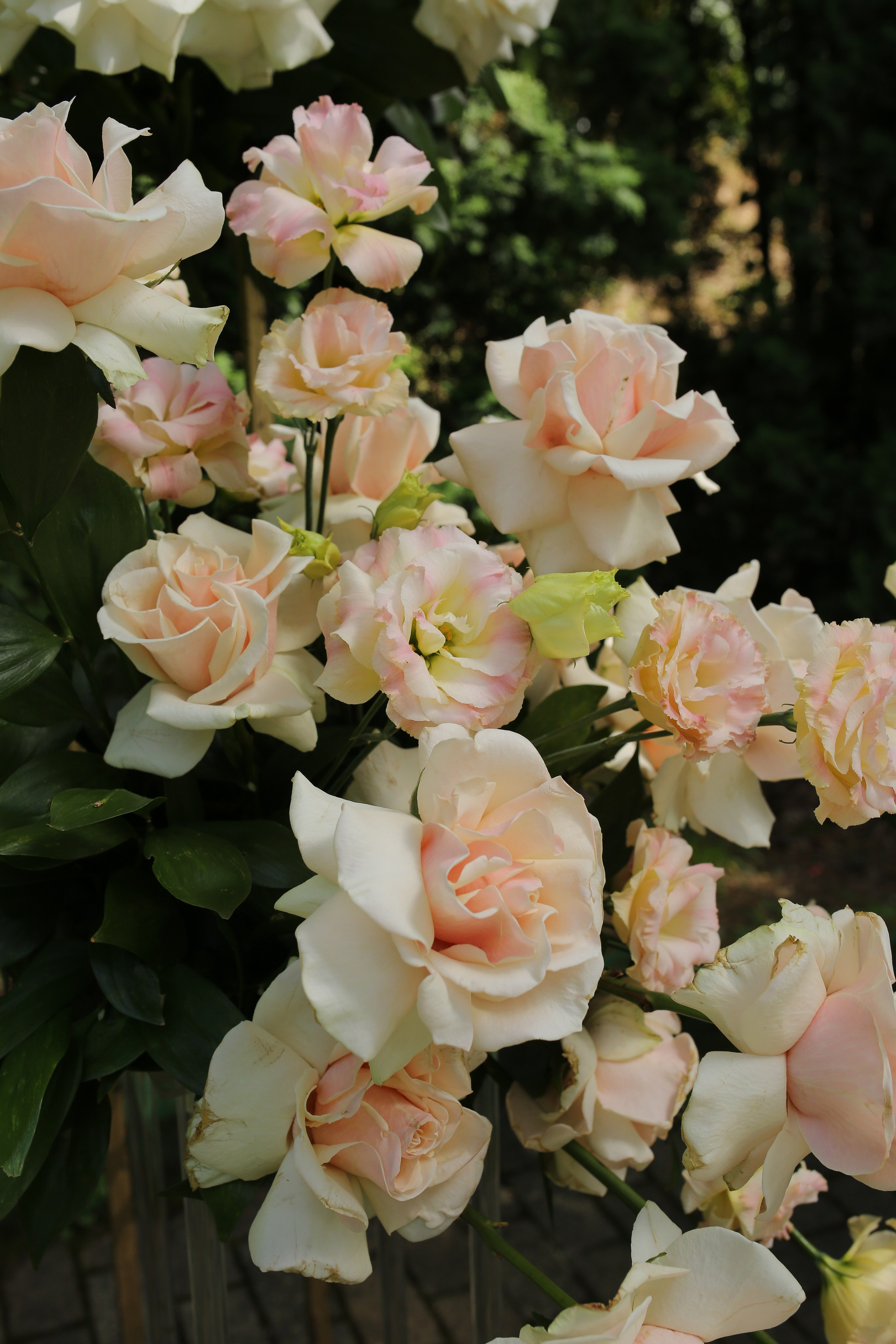 Wedding ceremony. Свадебный, семейный и детский фотограф в Беларуси и за ее пределами