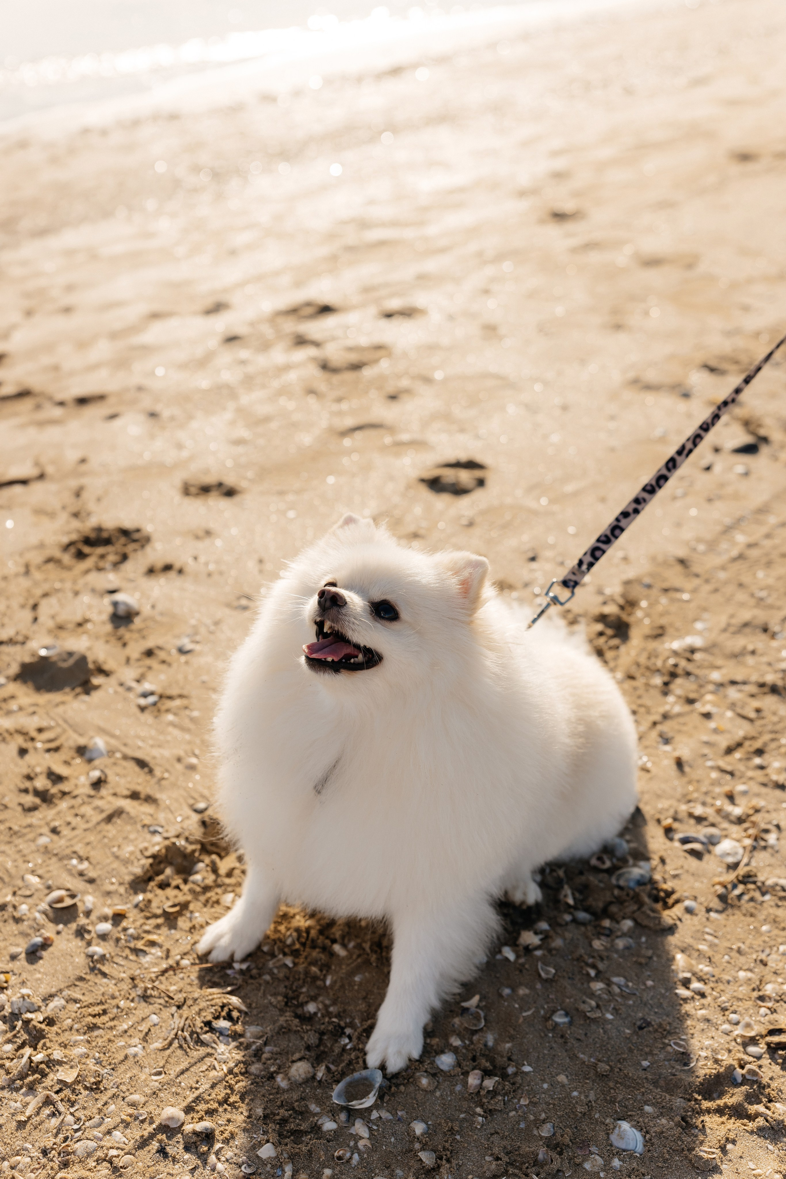 1st birthday. Свадебный фотограф Виктория Саврук