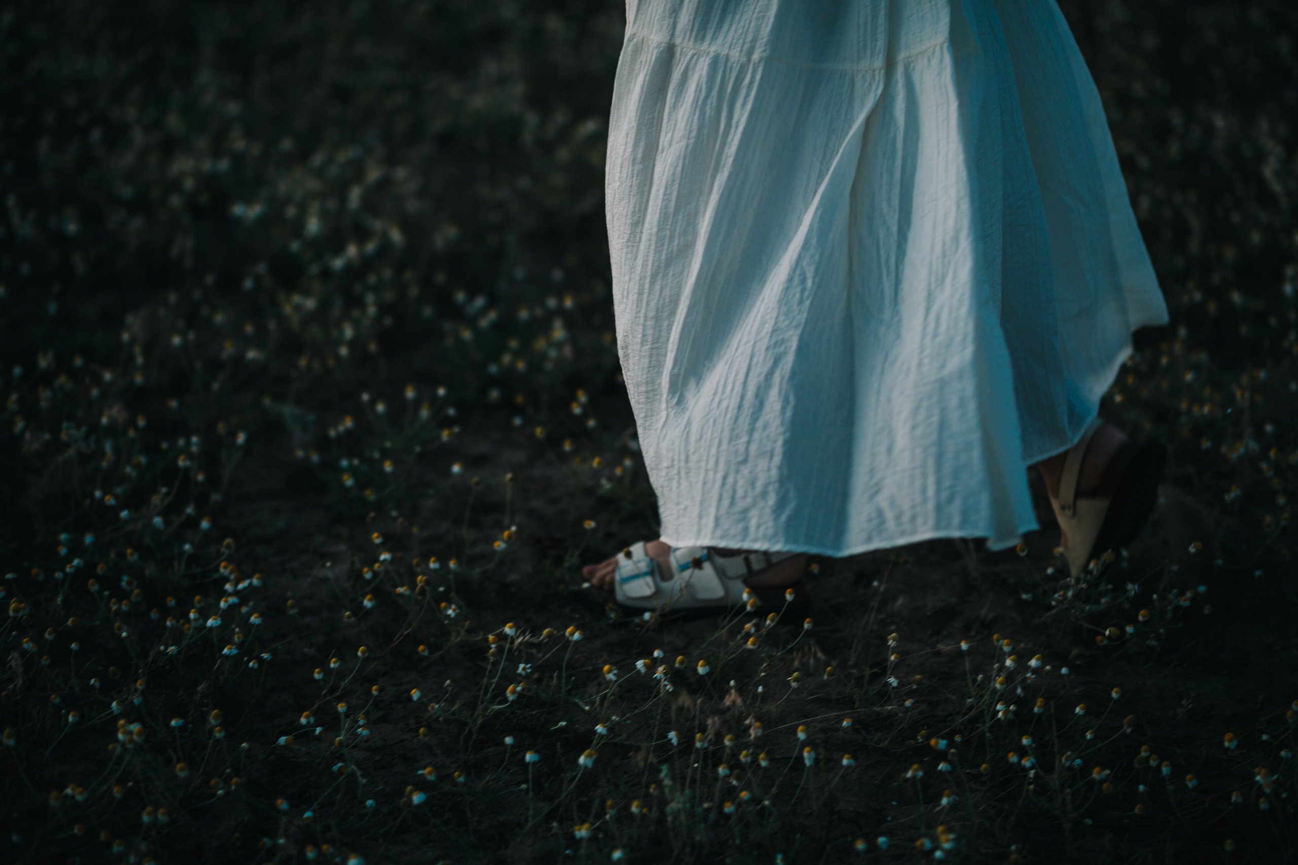 LOVE STORY. Mandarin.photo