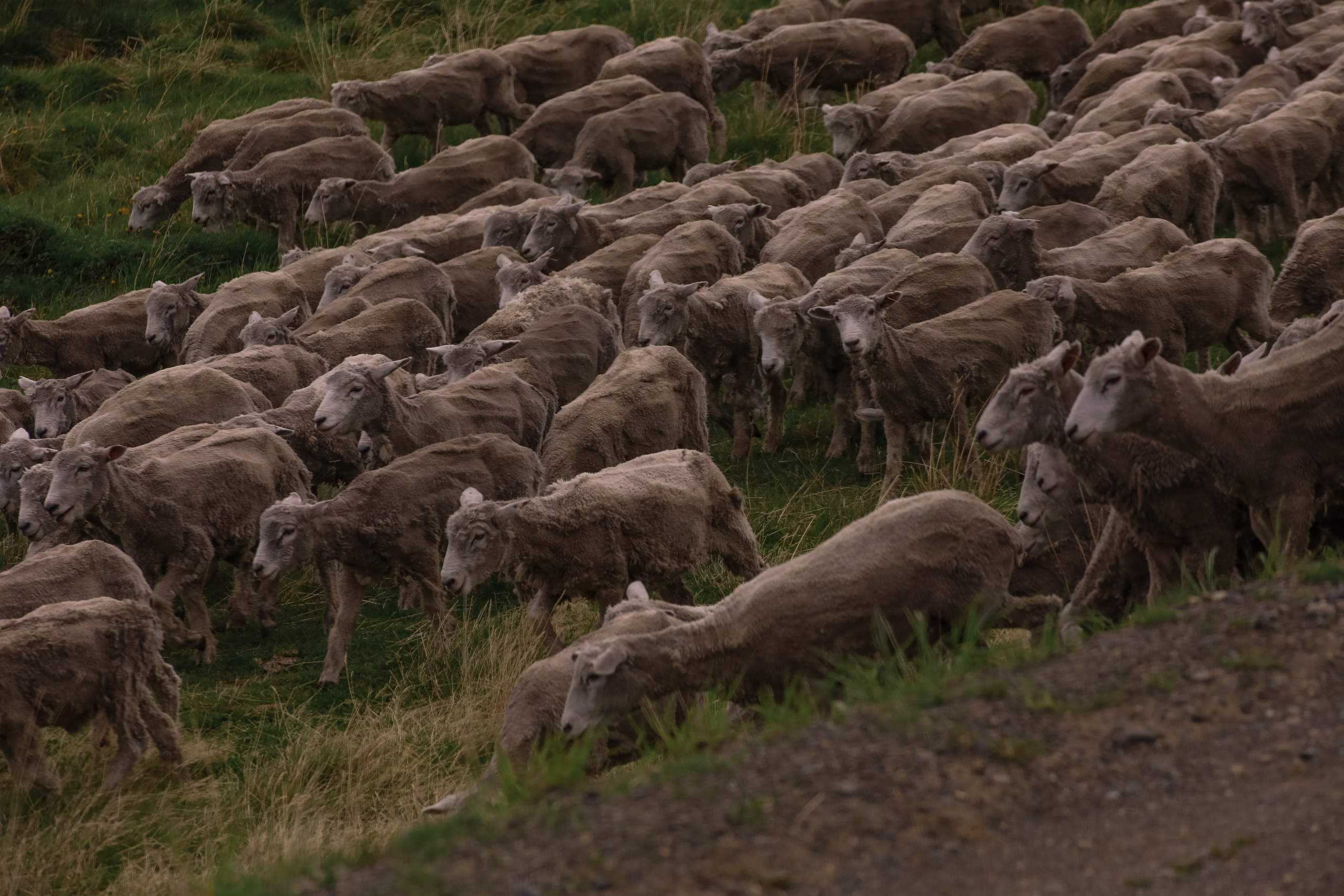 PATAGONIE. Photographe Karen Tatevosian