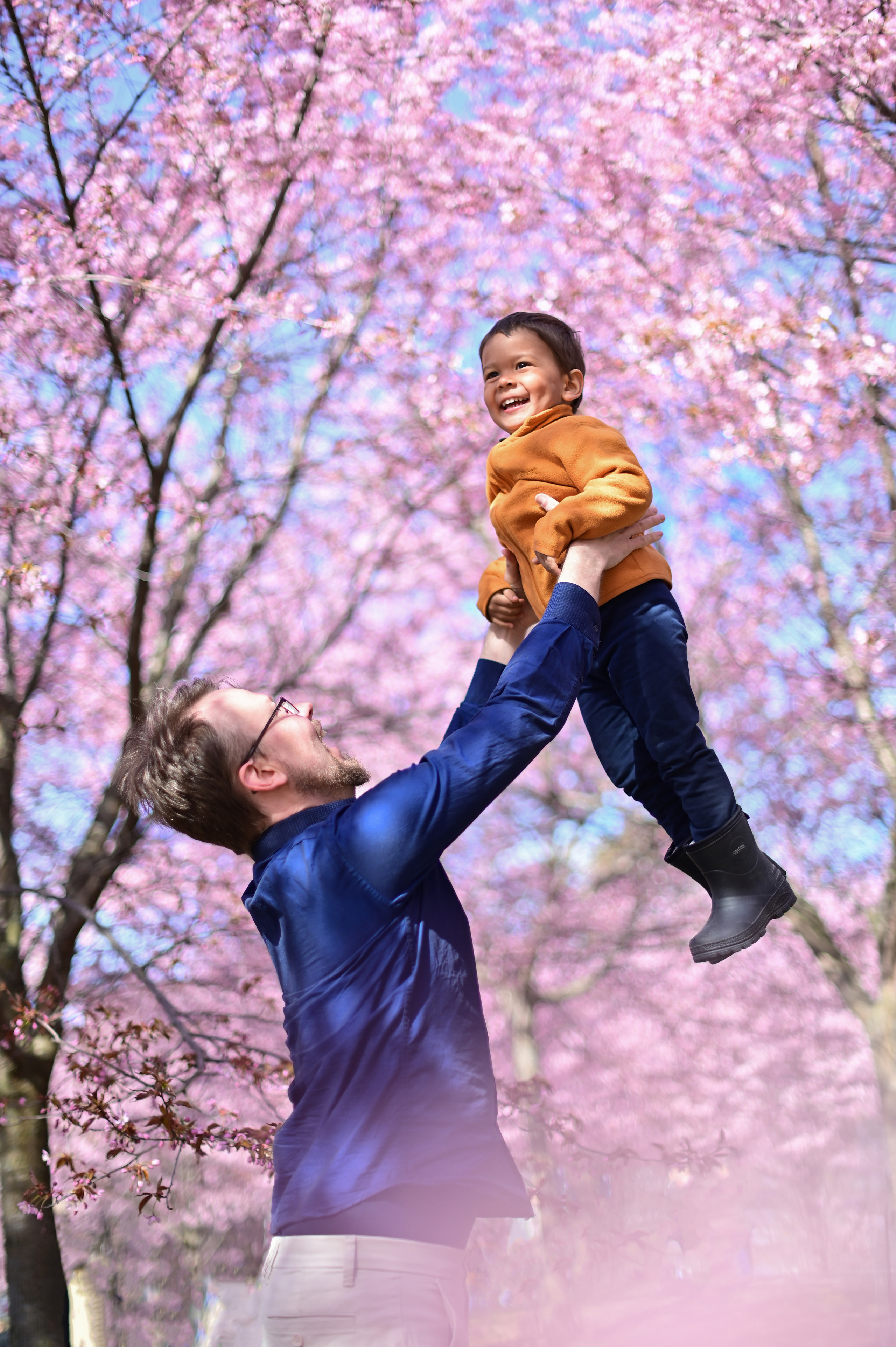 Сакура. Семейная съёмка + в ожидании. Детский и семейный фотограф в финляндии дина пулкка. контент фотограф