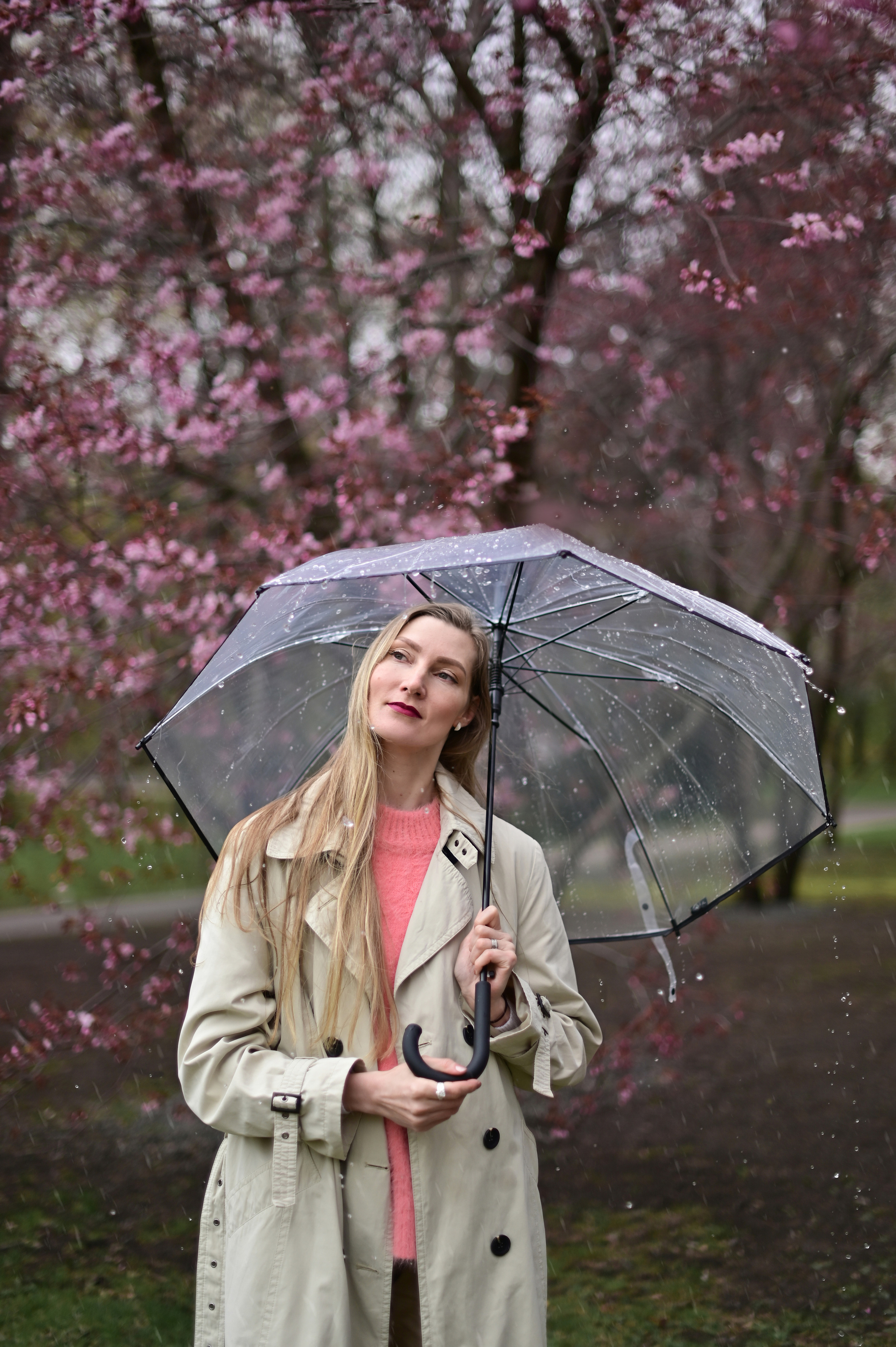 Сакура в дождь. Анна. Детский и семейный фотограф в финляндии дина пулкка. контент фотограф