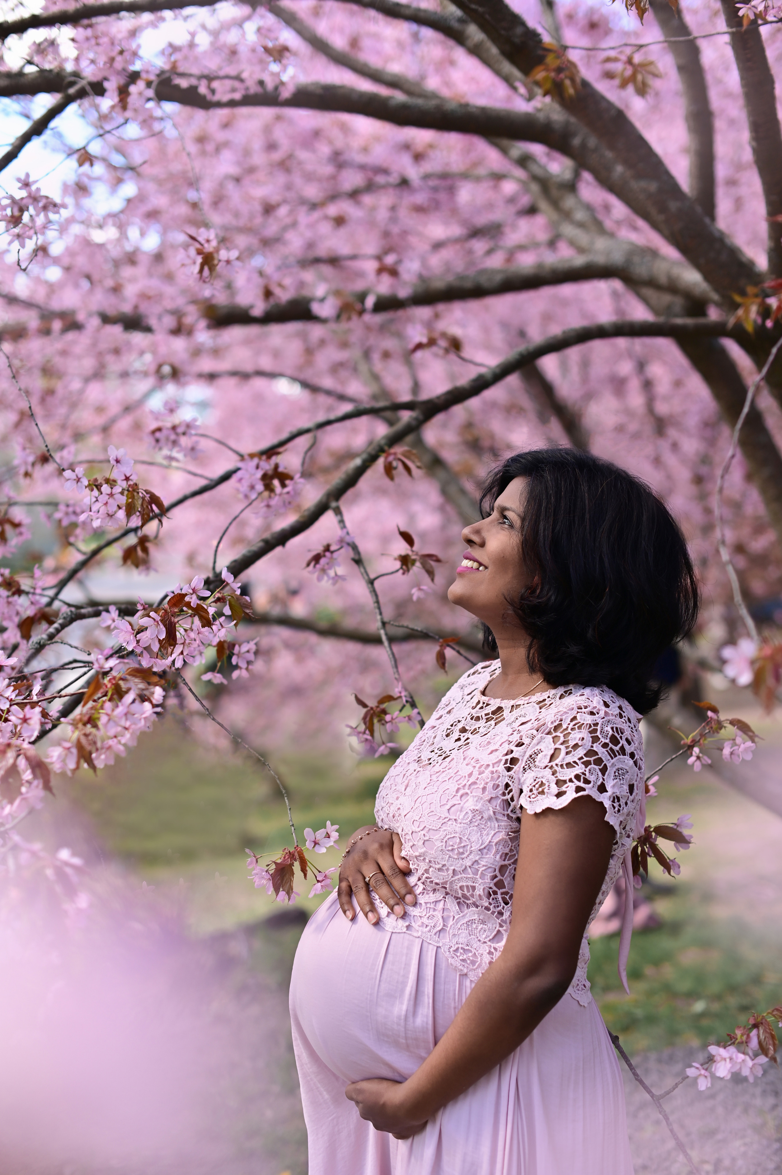Сакура. Семейная съёмка + в ожидании. Детский и семейный фотограф в финляндии дина пулкка. контент фотограф
