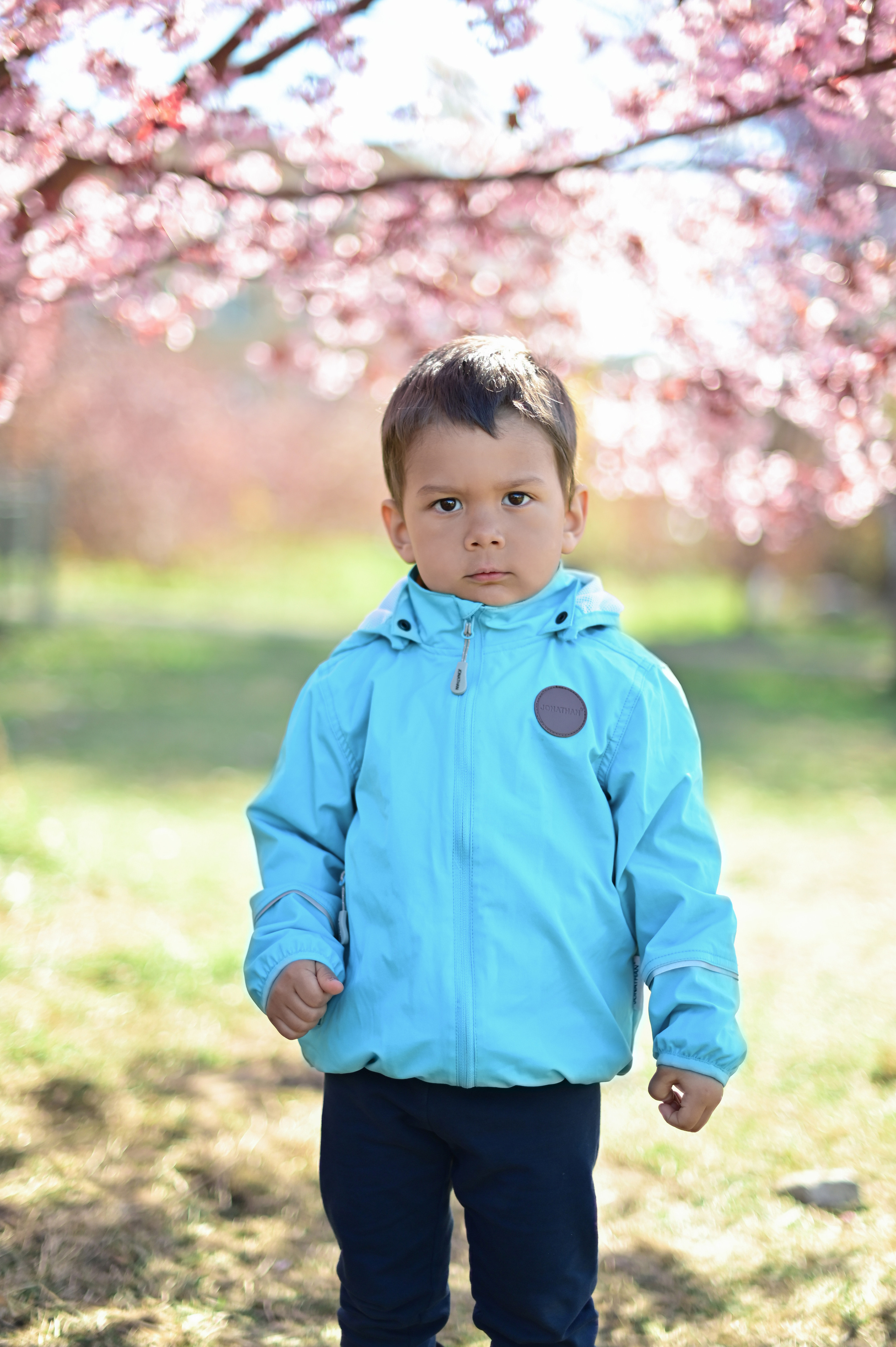 Сакура. Семейная съёмка + в ожидании. Детский и семейный фотограф в финляндии дина пулкка. контент фотограф