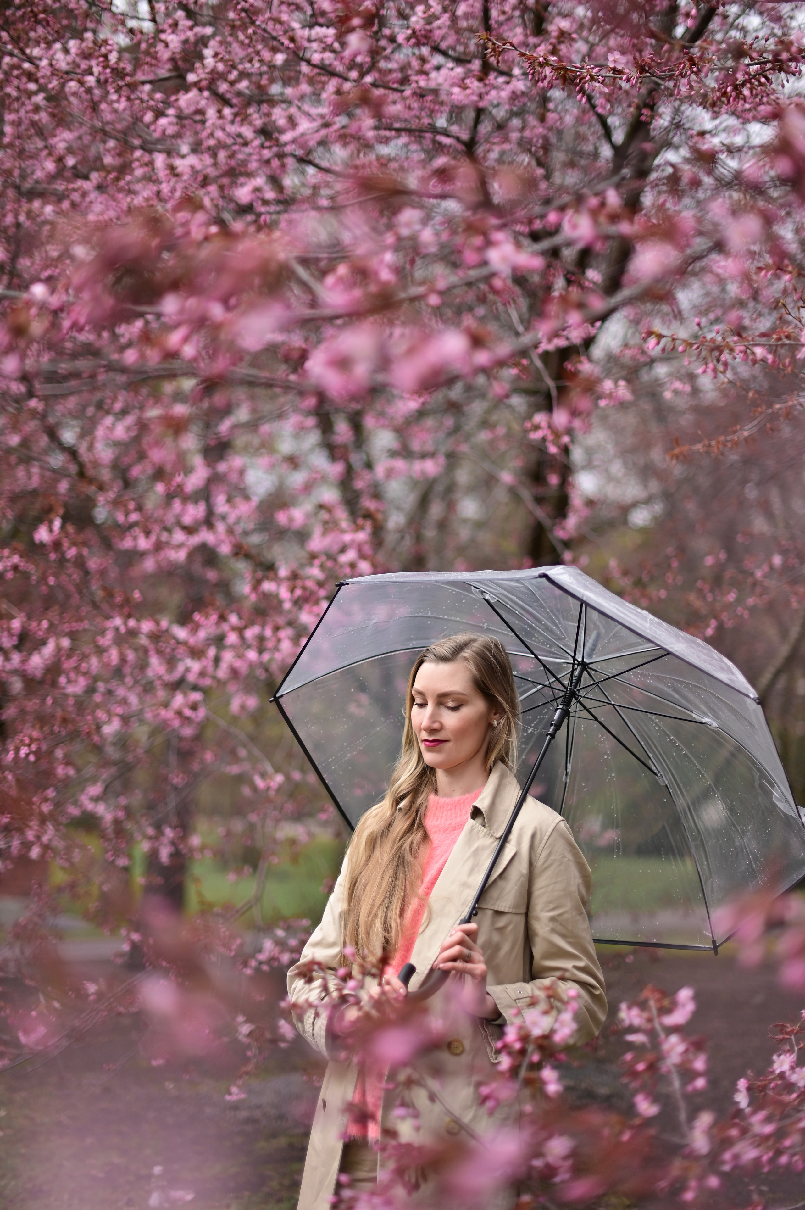 Сакура в дождь. Анна. Детский и семейный фотограф в финляндии дина пулкка. контент фотограф