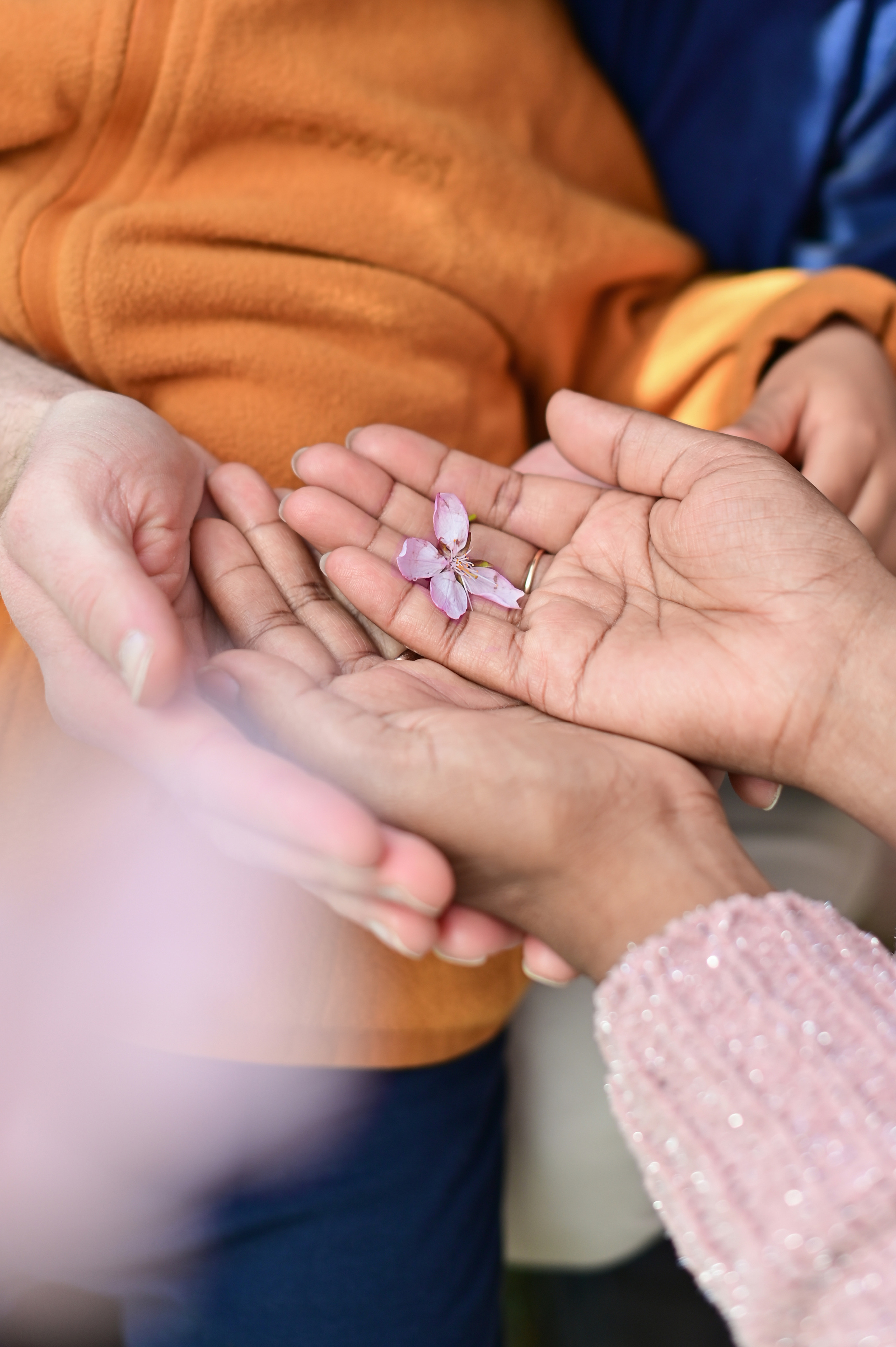 Сакура. Семейная съёмка + в ожидании. Детский и семейный фотограф в финляндии дина пулкка. контент фотограф