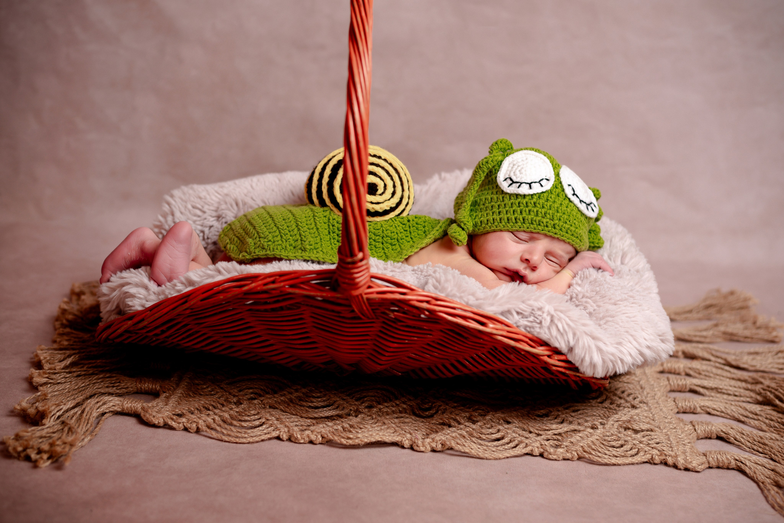 Newborn Photoshoot. Professional Photograher, Antwerpen/Belgium