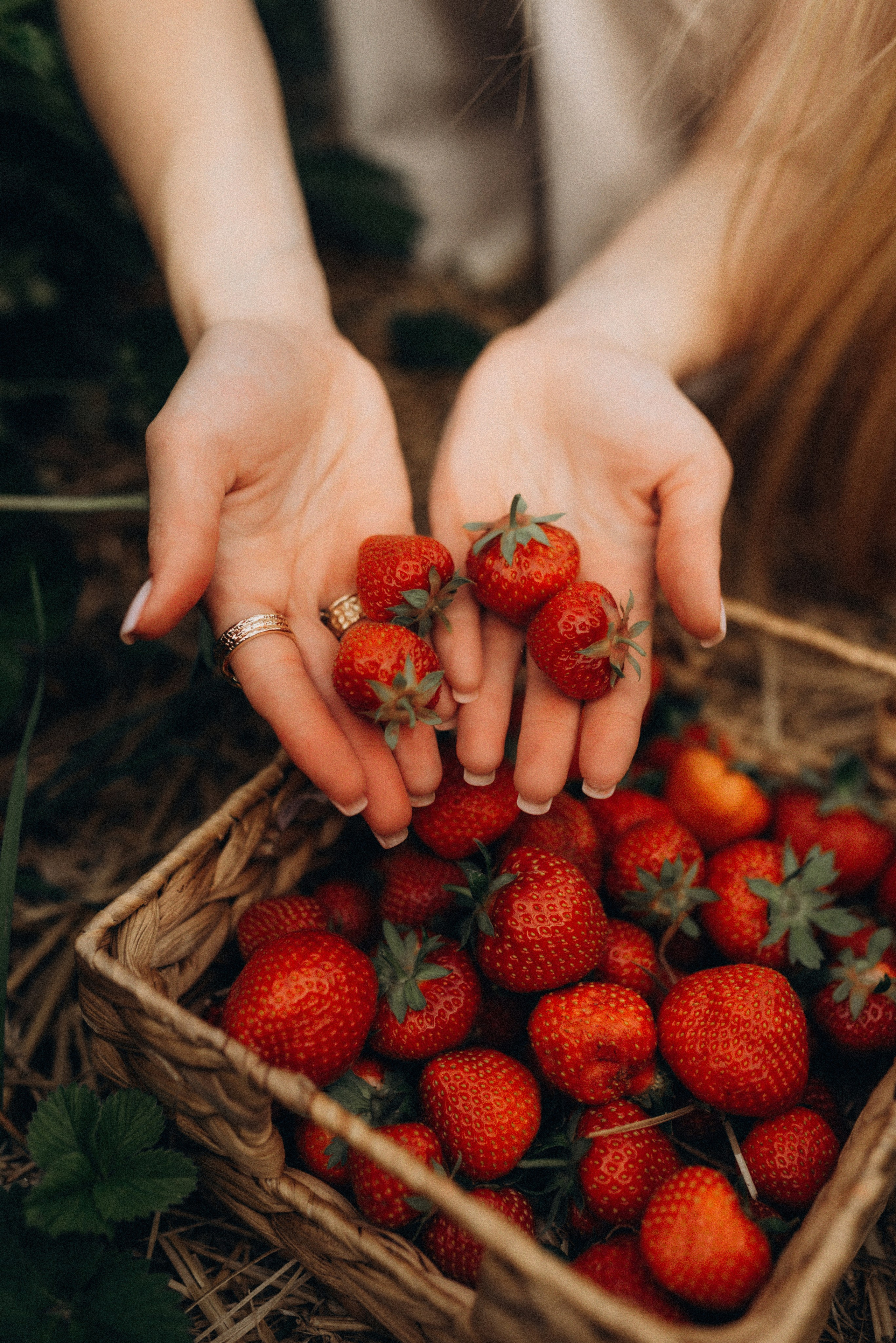 Семейная фотосессия в клубнике. Семейный фотограф Лейпциг, Германия