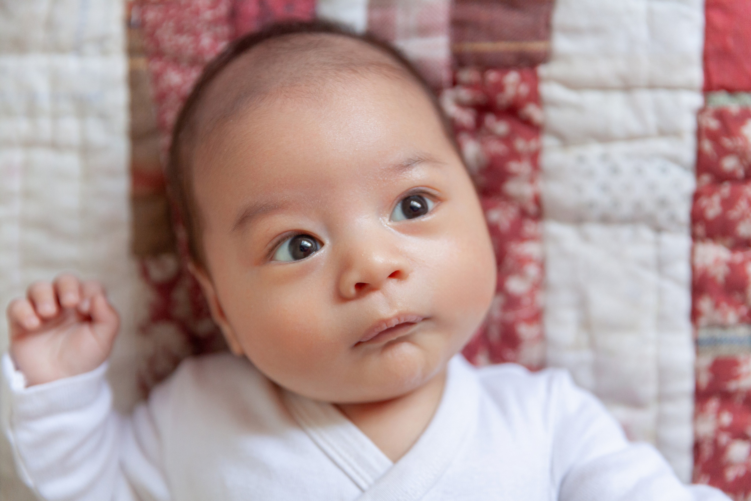 Older newborns. Marina Pravda Photography San Francisco Bay Area