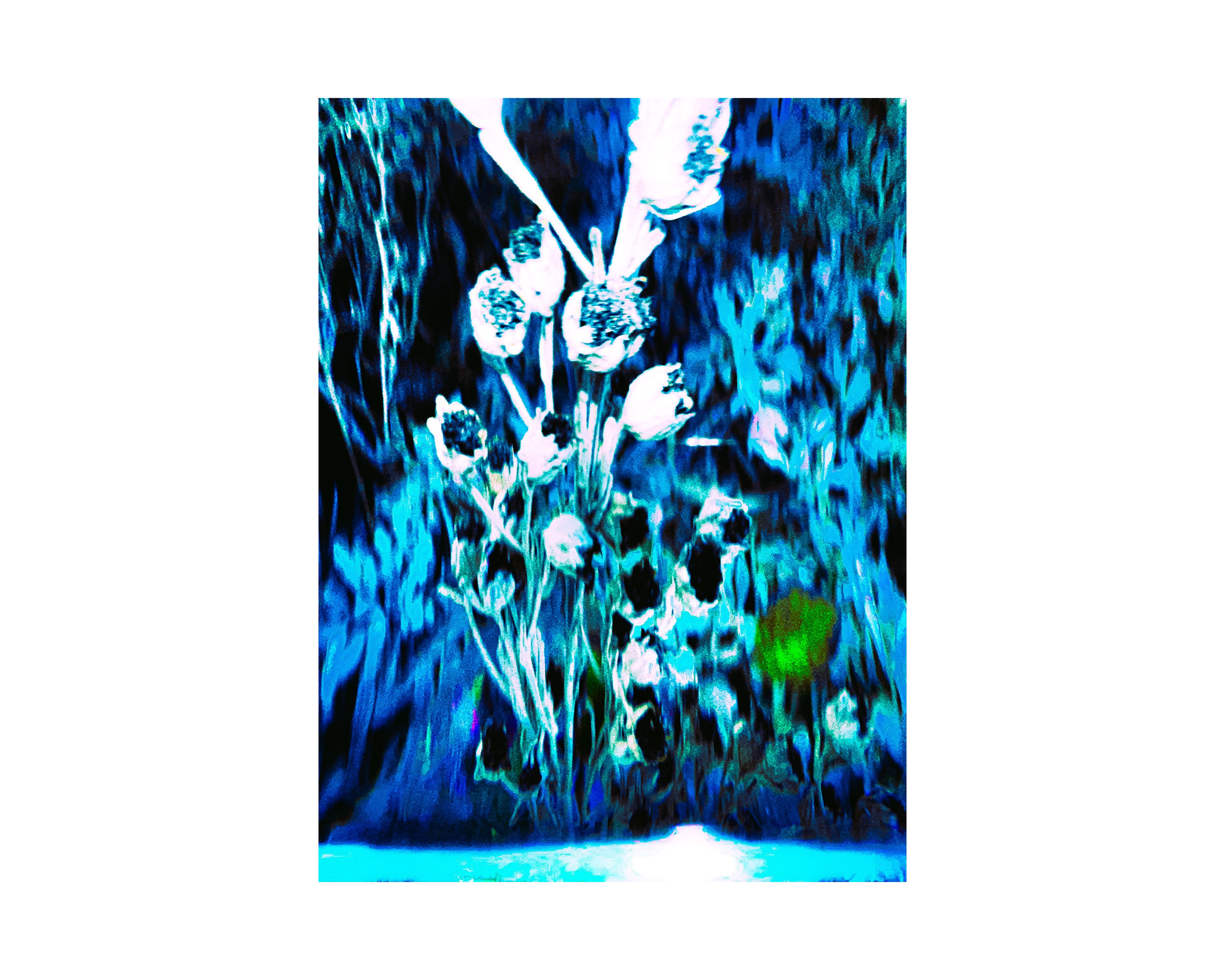 Nature from Exaggerated Worlds. Ekaterina Tsurkina-Appina Photography Canada