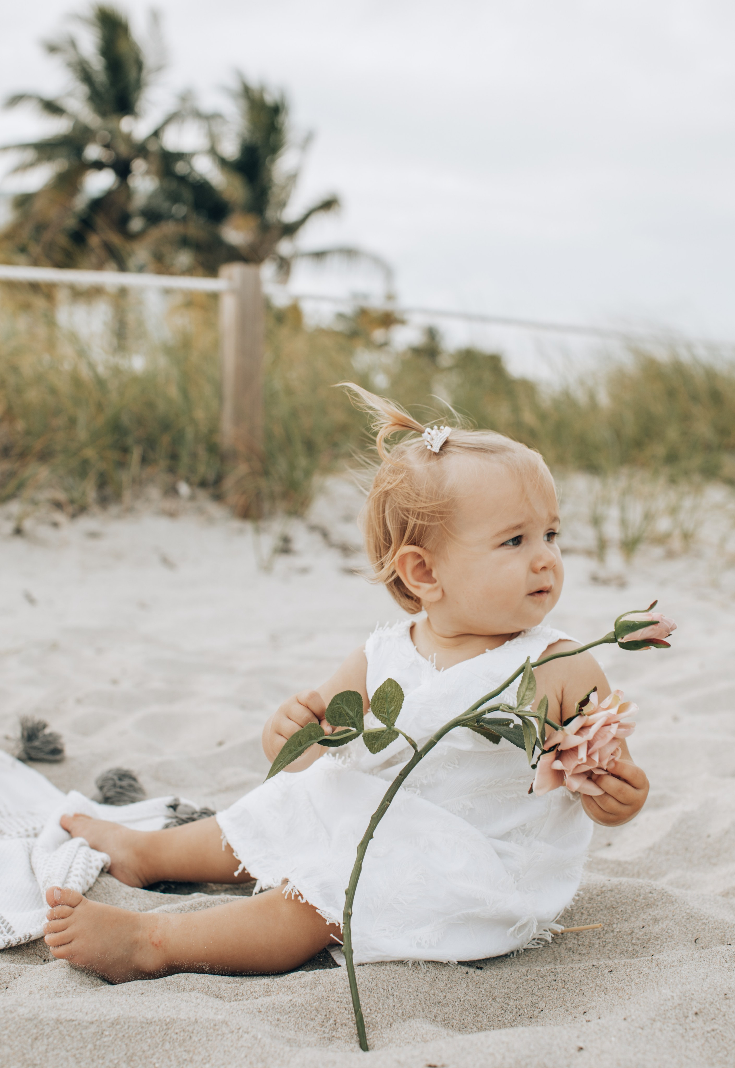 Family. Photographer in Miami, Family photographer, Event, Wedding