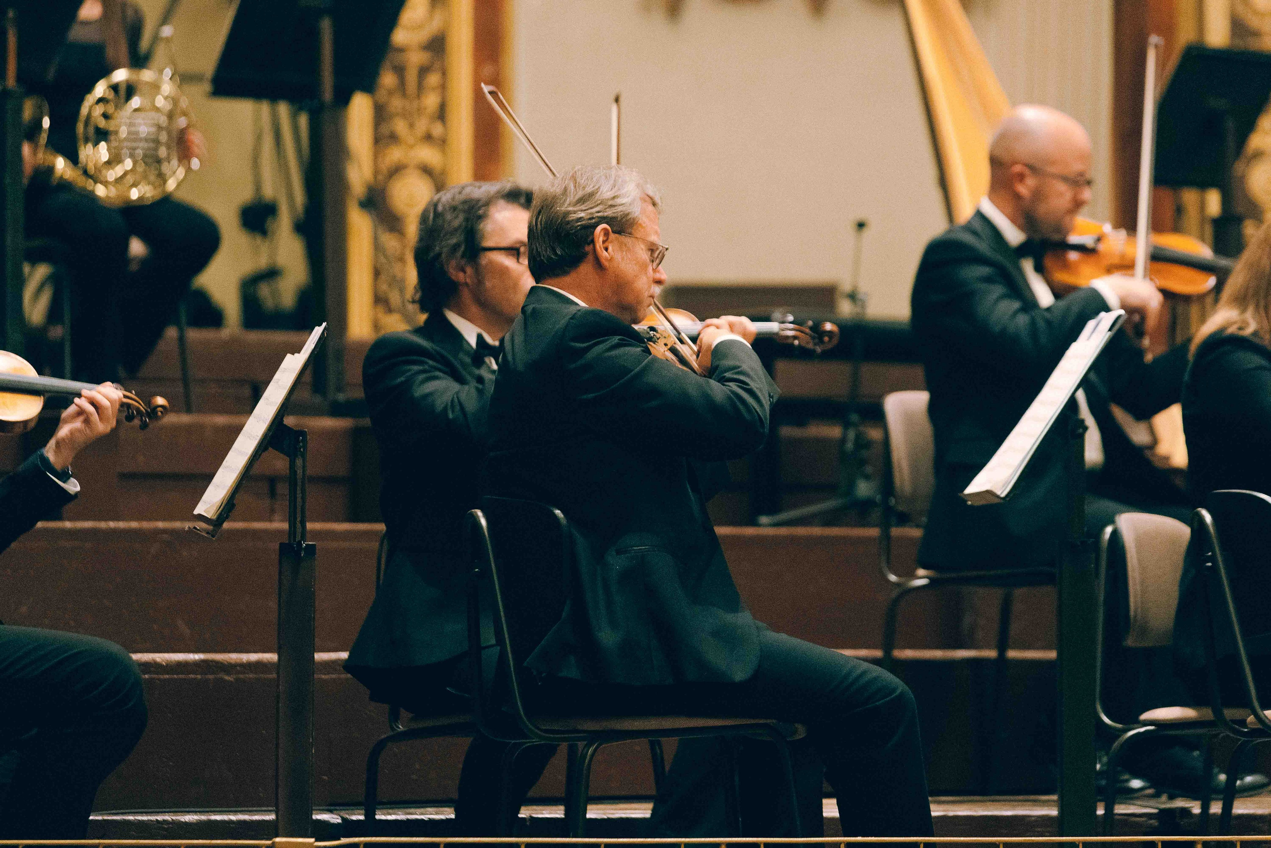 MUSIKVEREIN (VIENNA). Wedding&Event photographer Ismail Rzayev in Baku