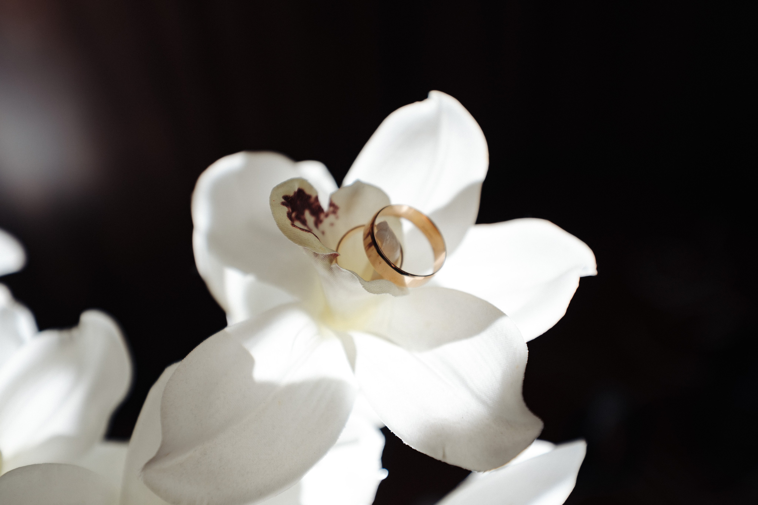 Piotr i Roksolana. Karina Czernecka Foto