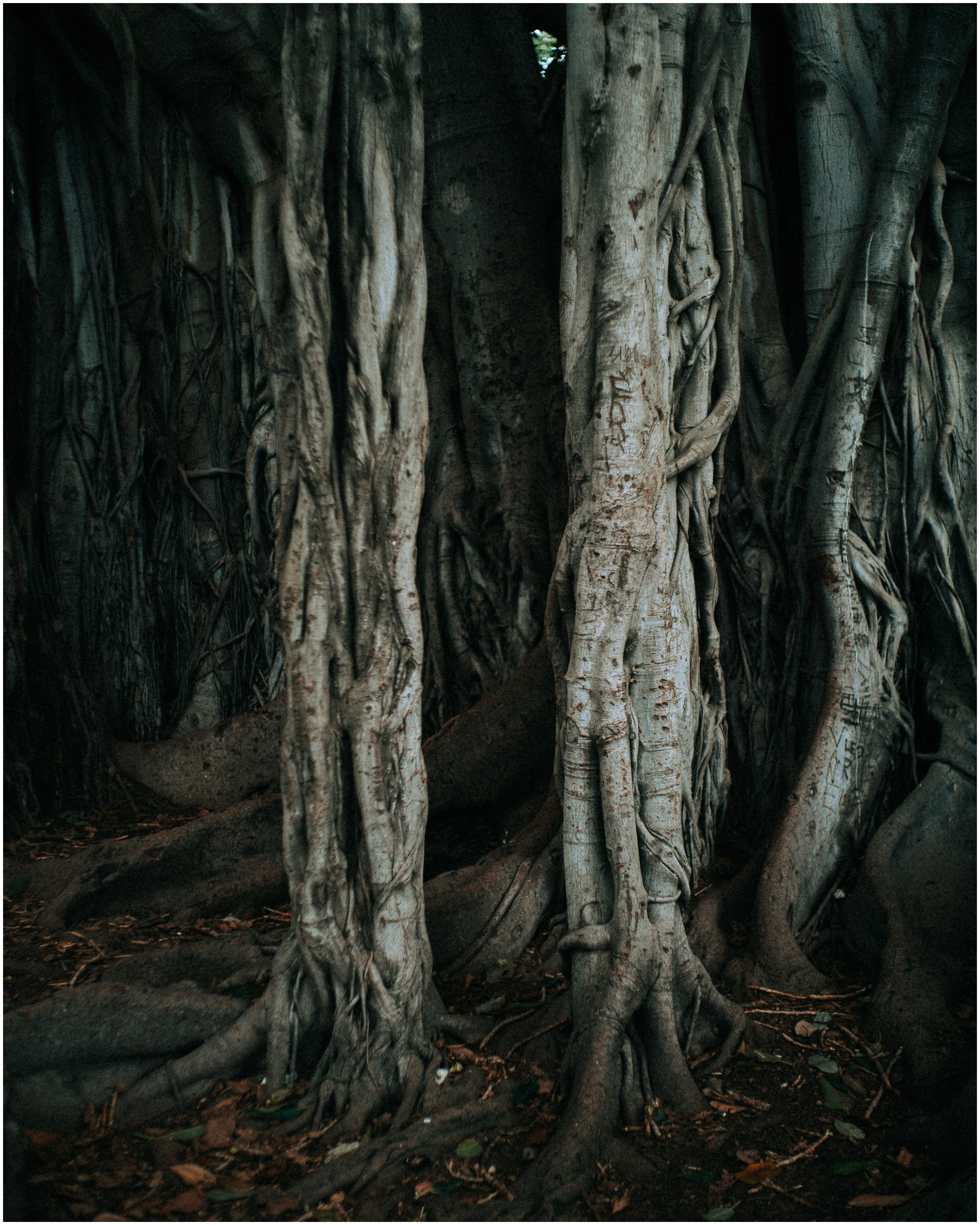 PALERMO. Photographer Inna Mendelson