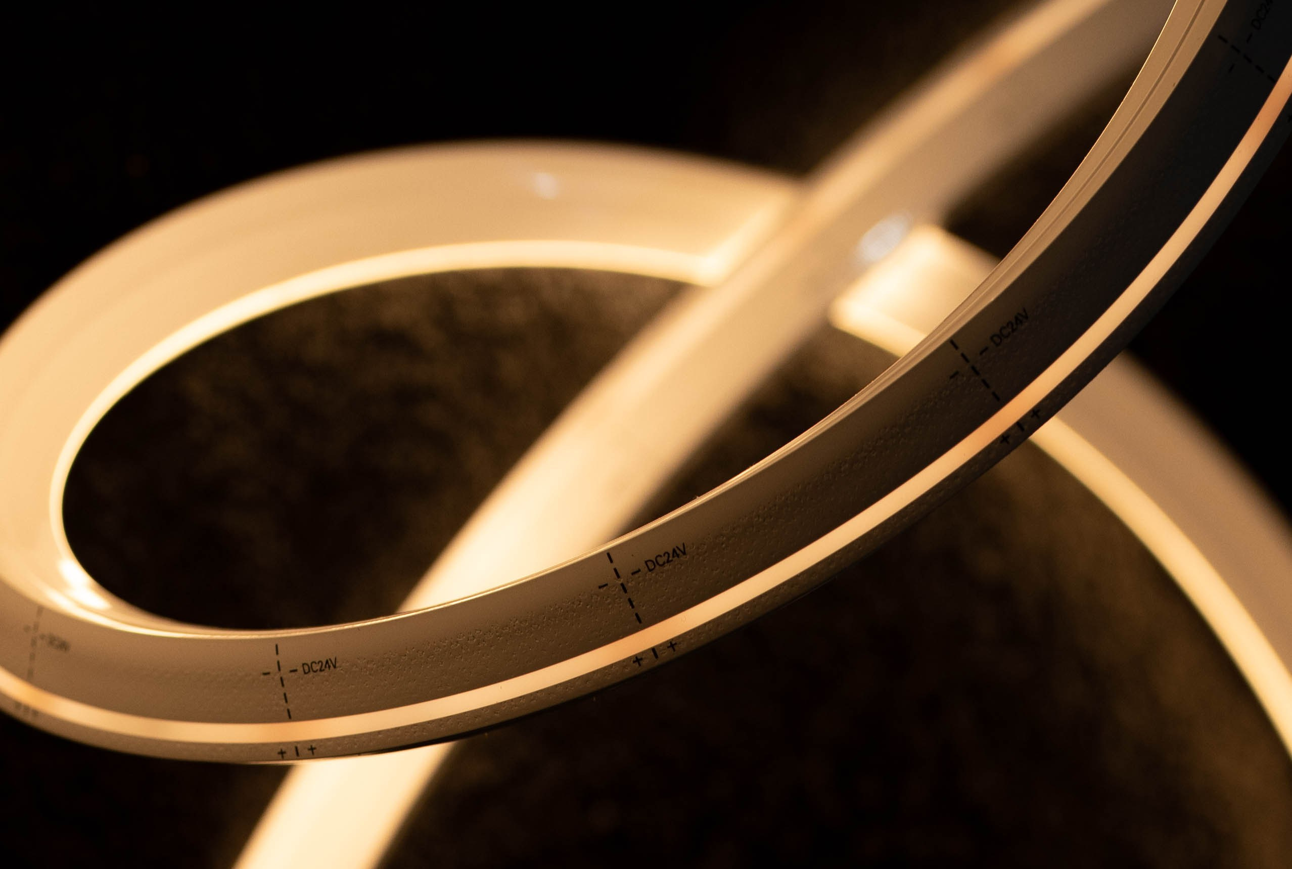 LED Lights. Baby Beast