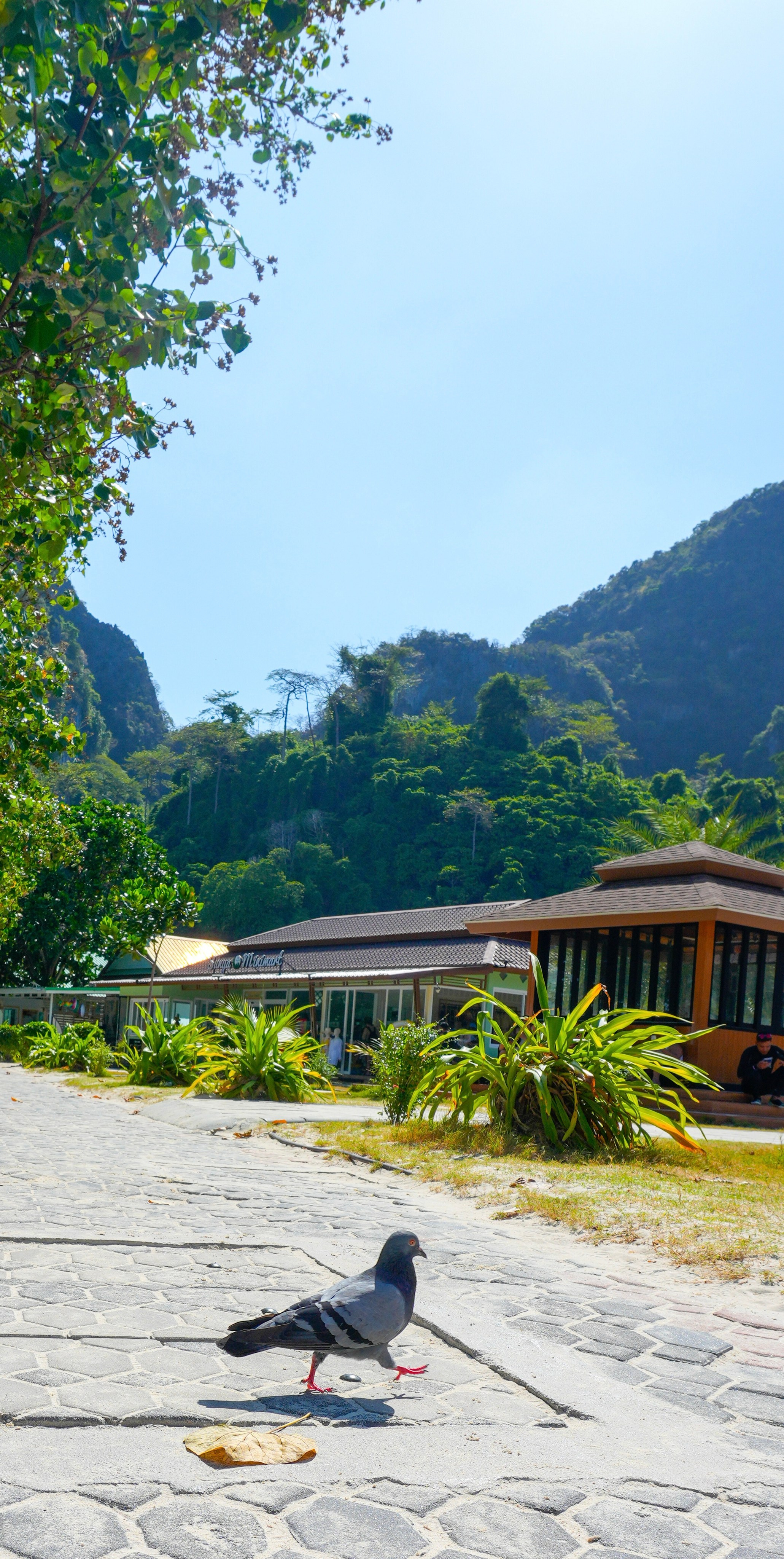 Nature. So1ryn | Visuals & Beyond