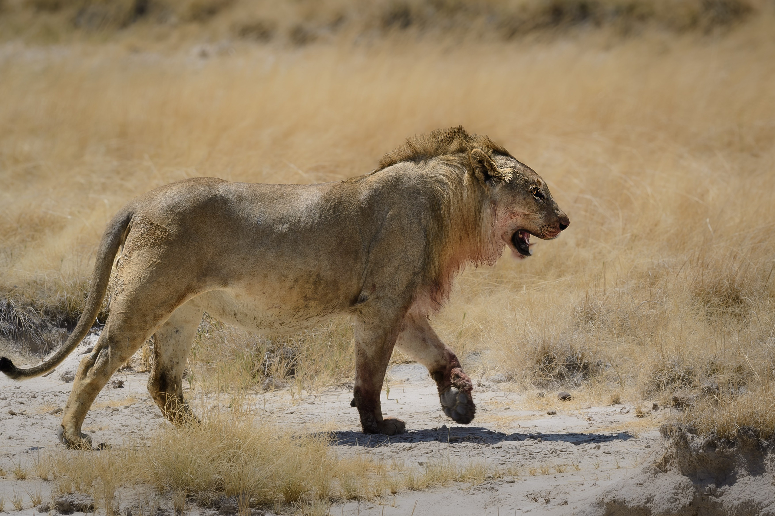 Travel. Klausenburg Photography