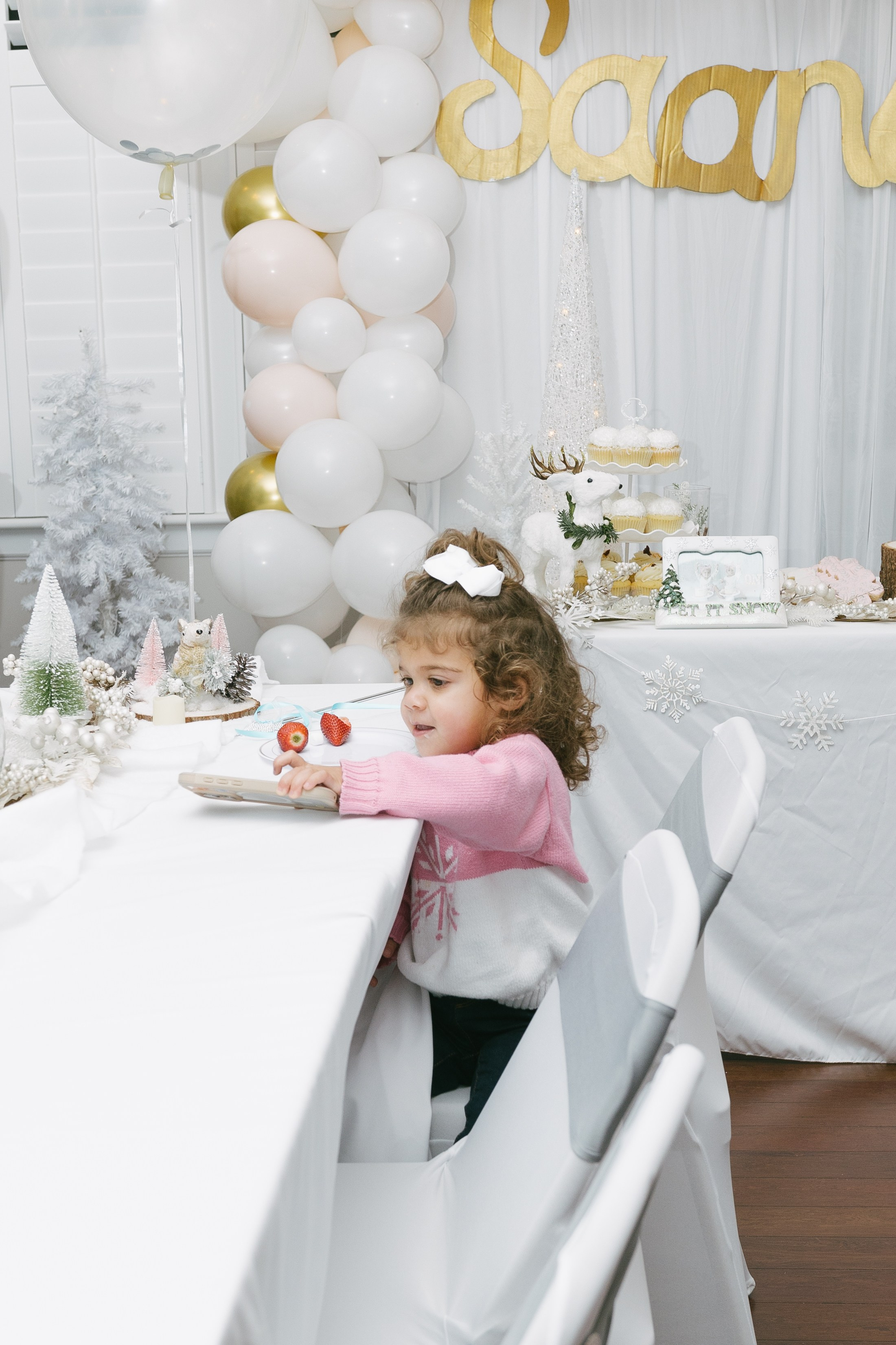 Twins Birthday. Sara Eulalia | Virginia Photographer