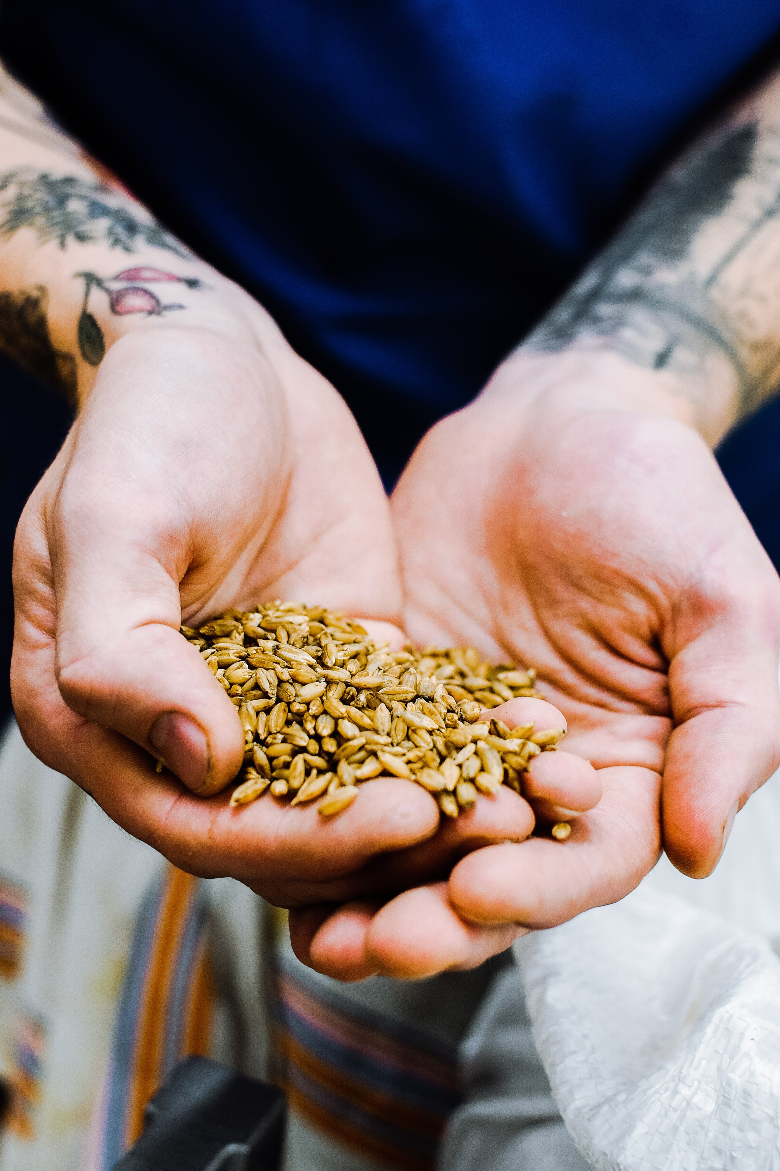 Nepomuk. Familienfotografin aus Sterzing Elena Muehlsteiger