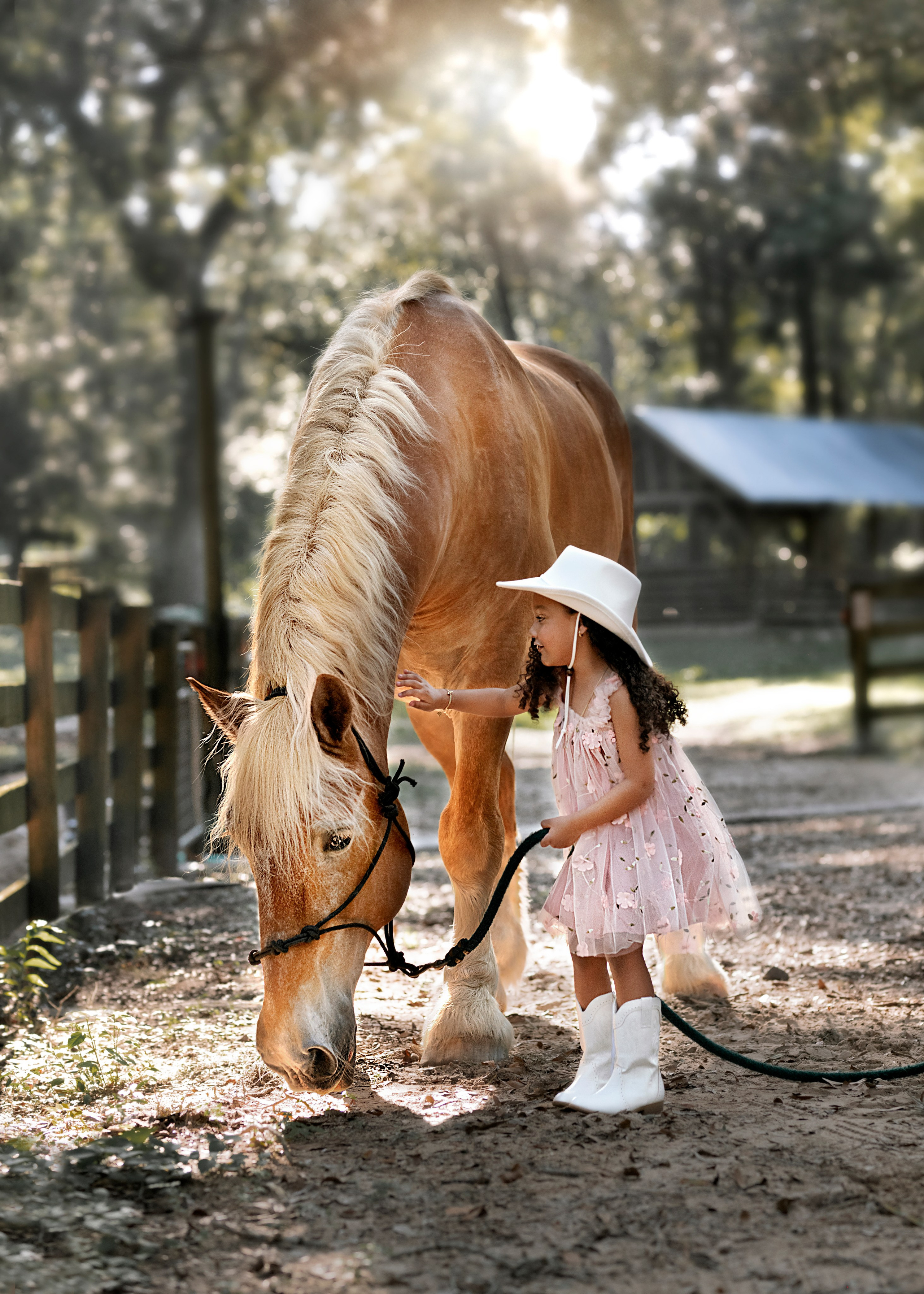 Birthday. Portrait, kids and family photographer in Wesley Chapel Alina Alice Osipova
