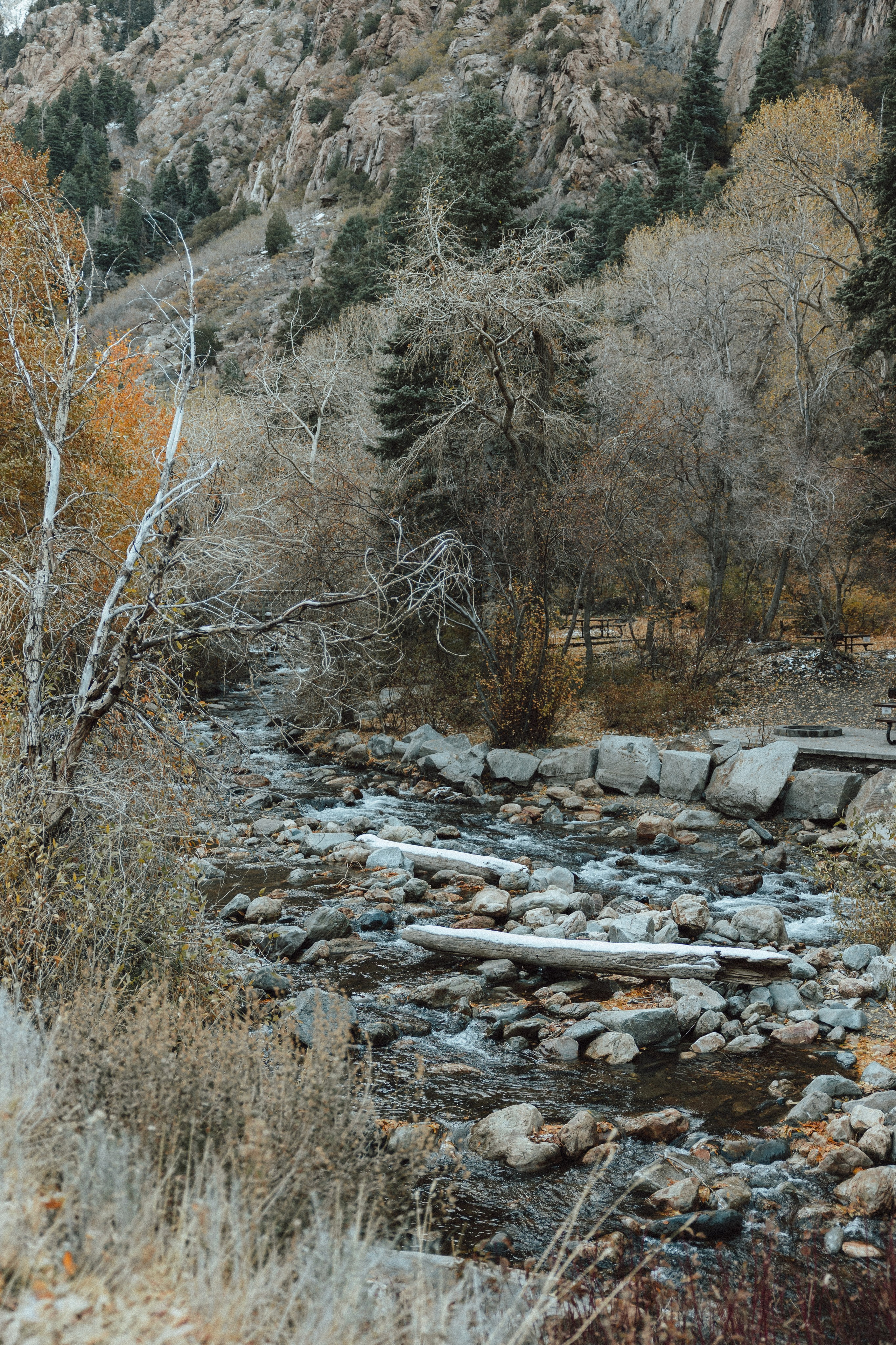 J&J. Sara Eulalia | Virginia Photographer