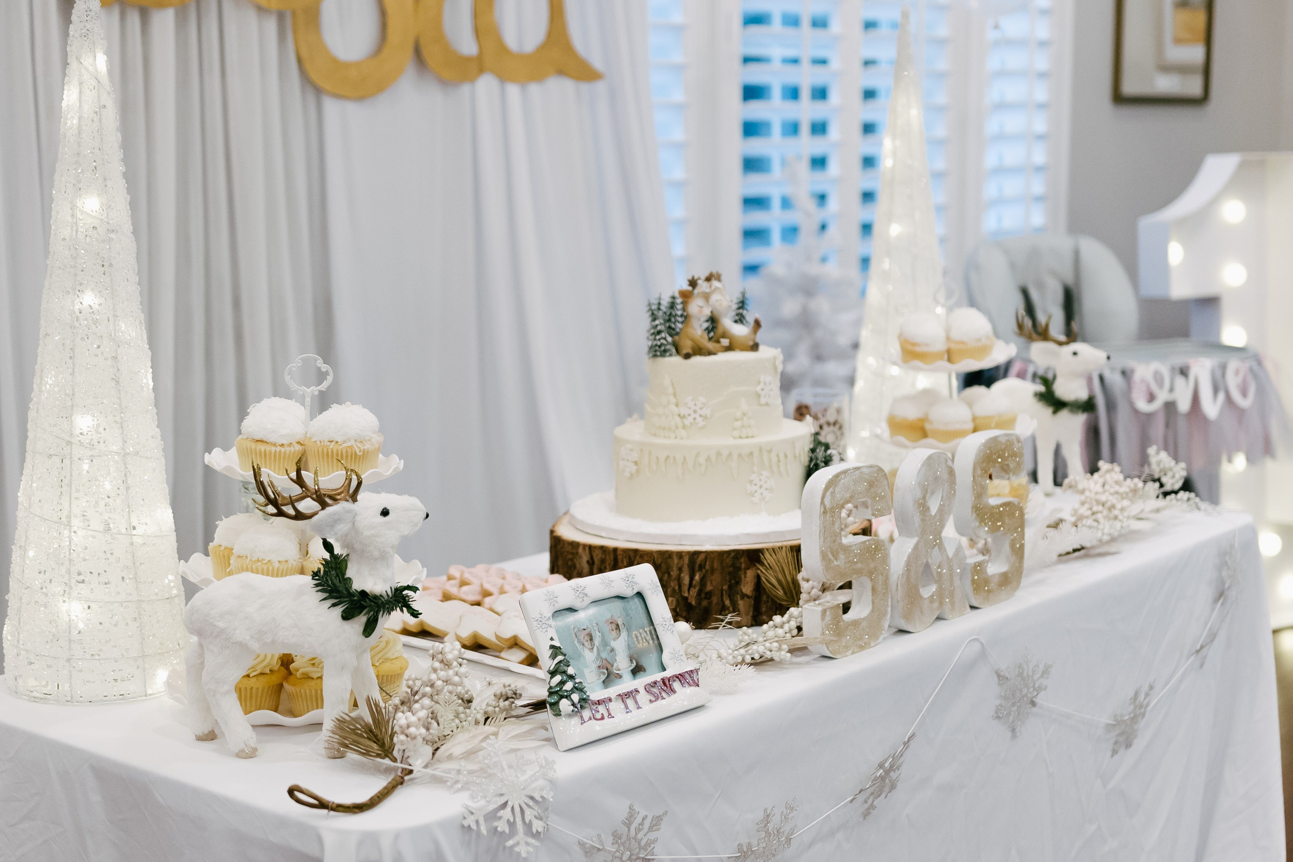 Twins Birthday. Sara Eulalia | Virginia Photographer