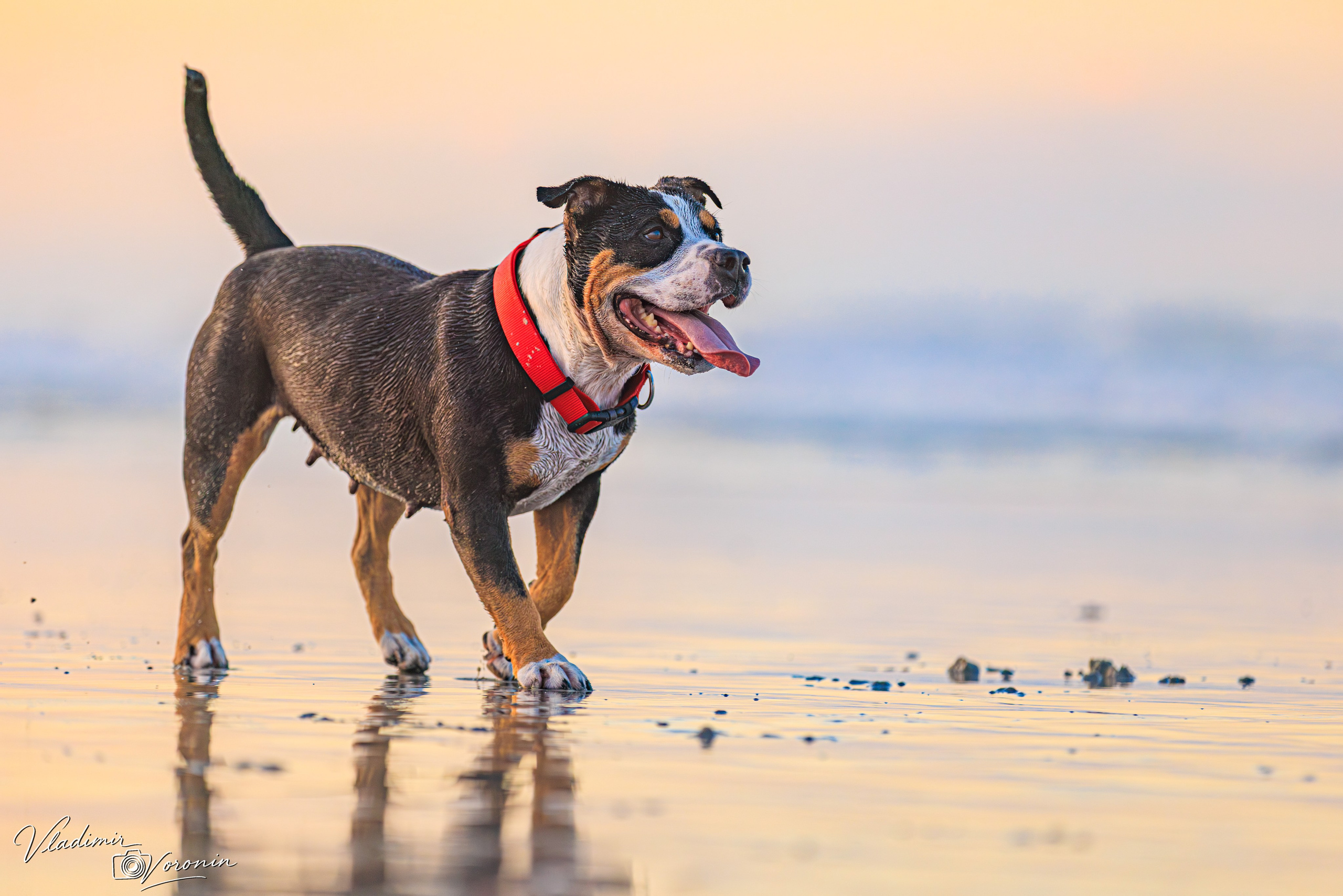 St. Augustine Beach. Photographer St. Augustine