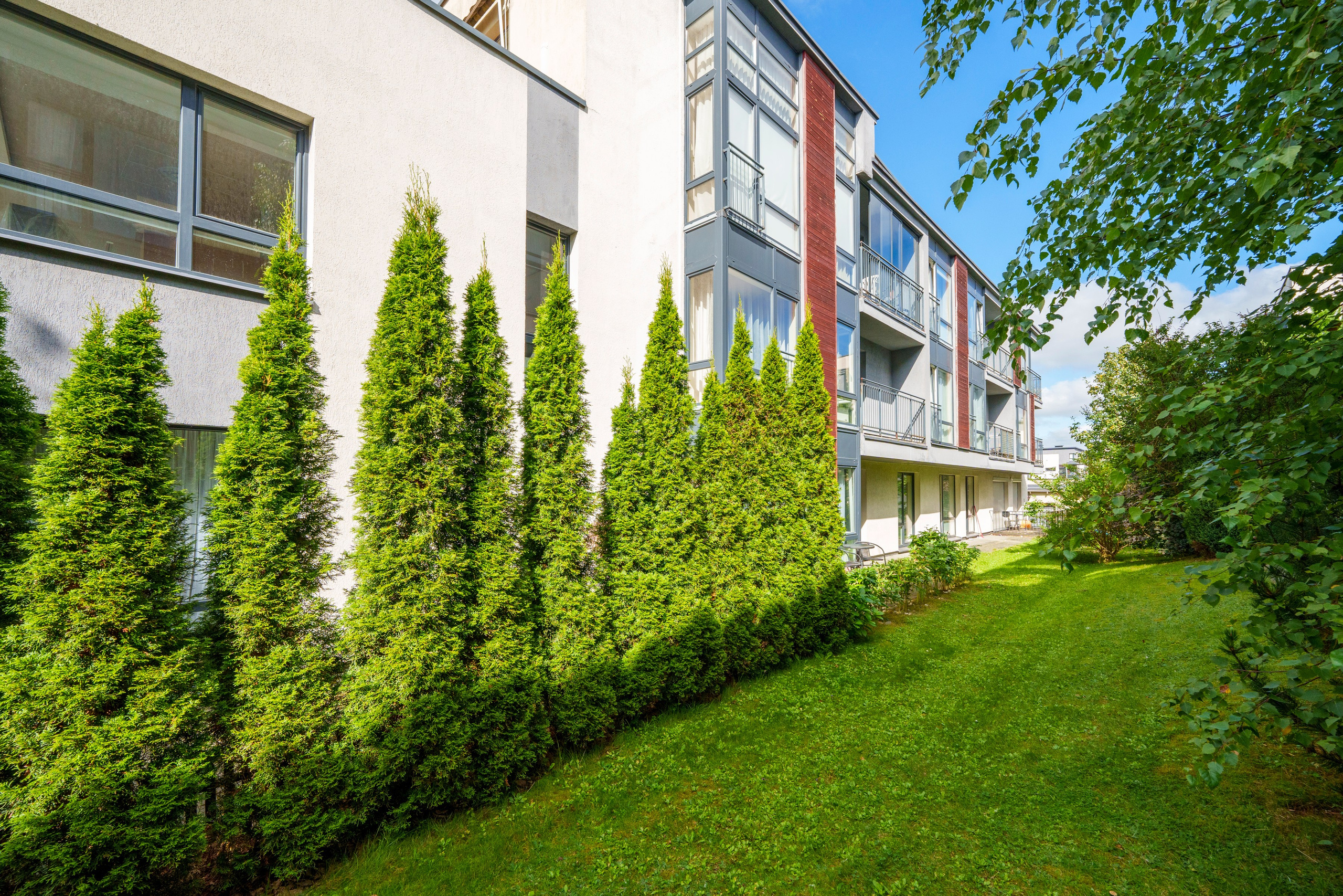 Franko g. 12. Elina Sapiega fotografė Vilniuje