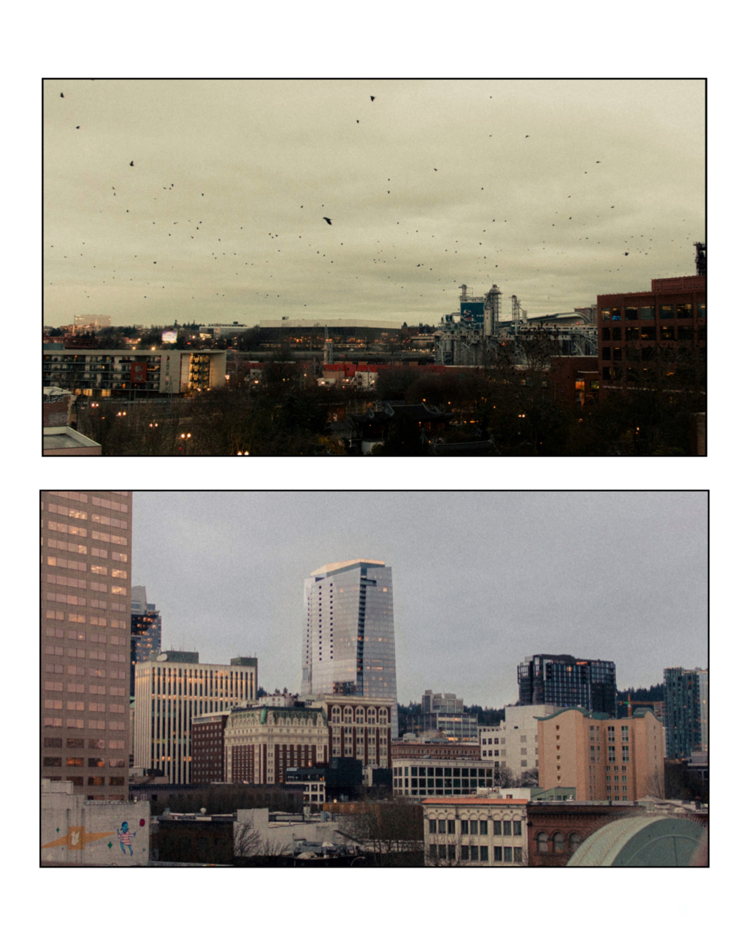 Cinematic. Family photographer Oregon — Washington