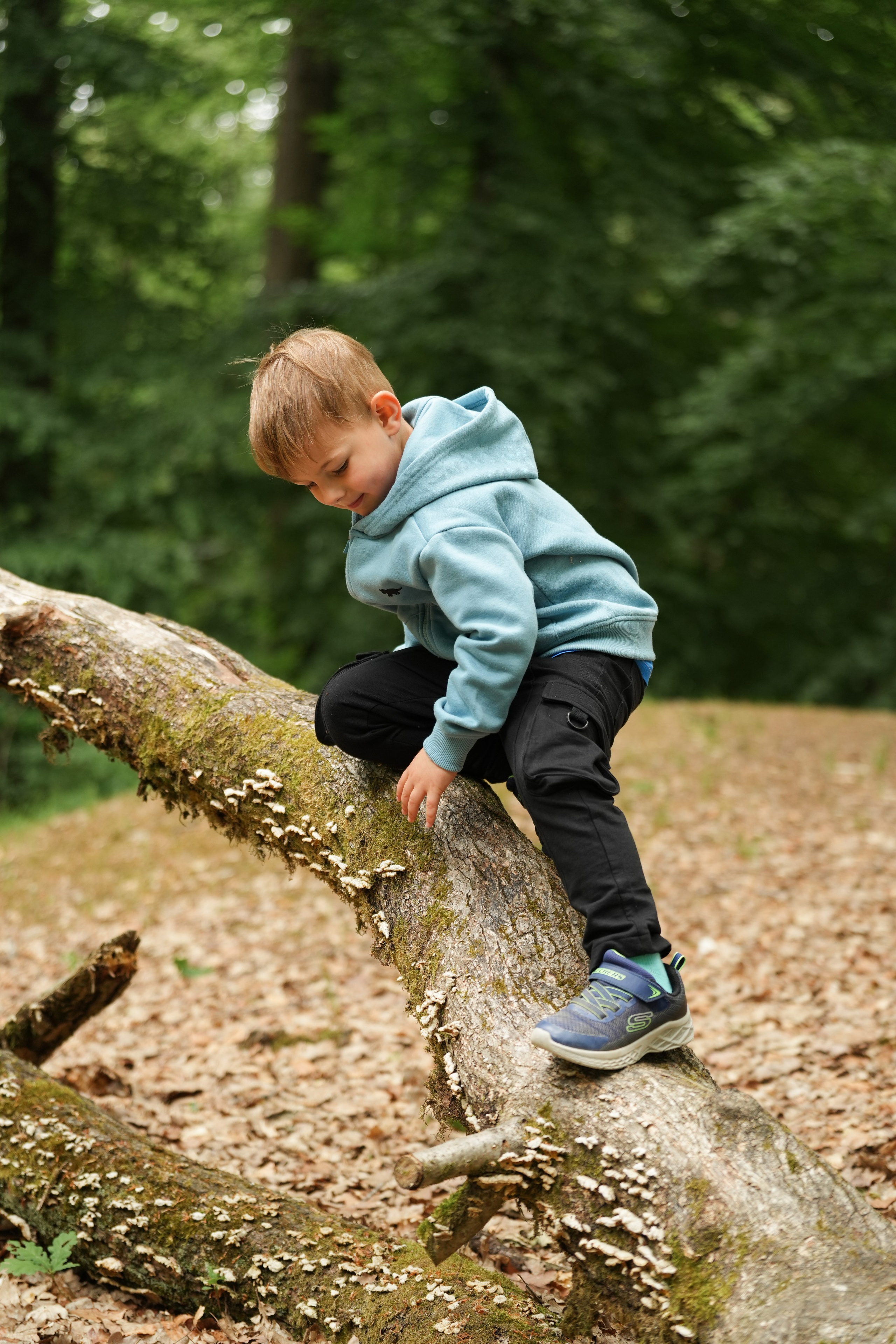 Waldkindergarten. Www.alberti-fotograf.de