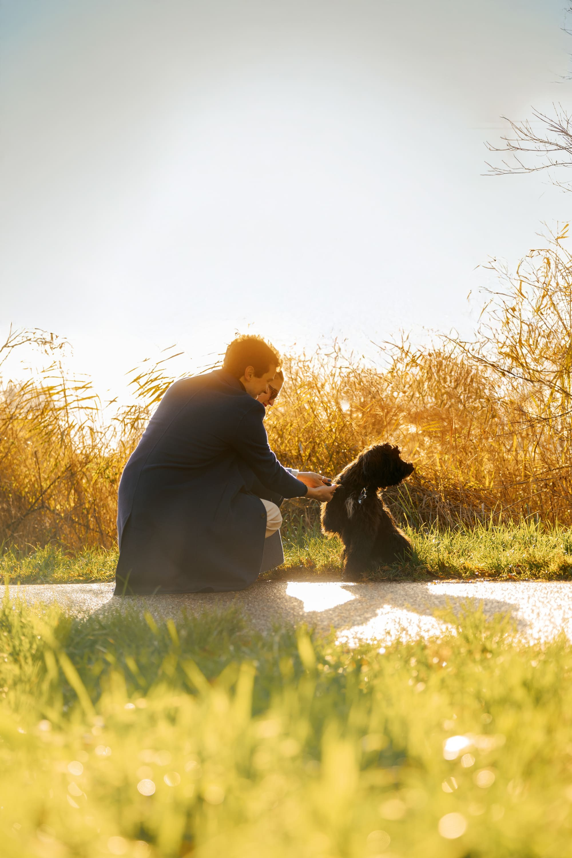 Pet Photoshoot in Spijkenisse | Rotterdam. Romantic & Soulful Photography by Natalia Olhova in Rotterdam