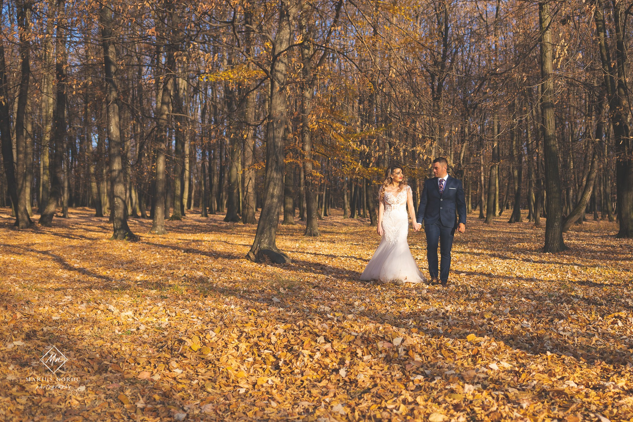 Alexandra & Alin | Padurea Bucium Iasi