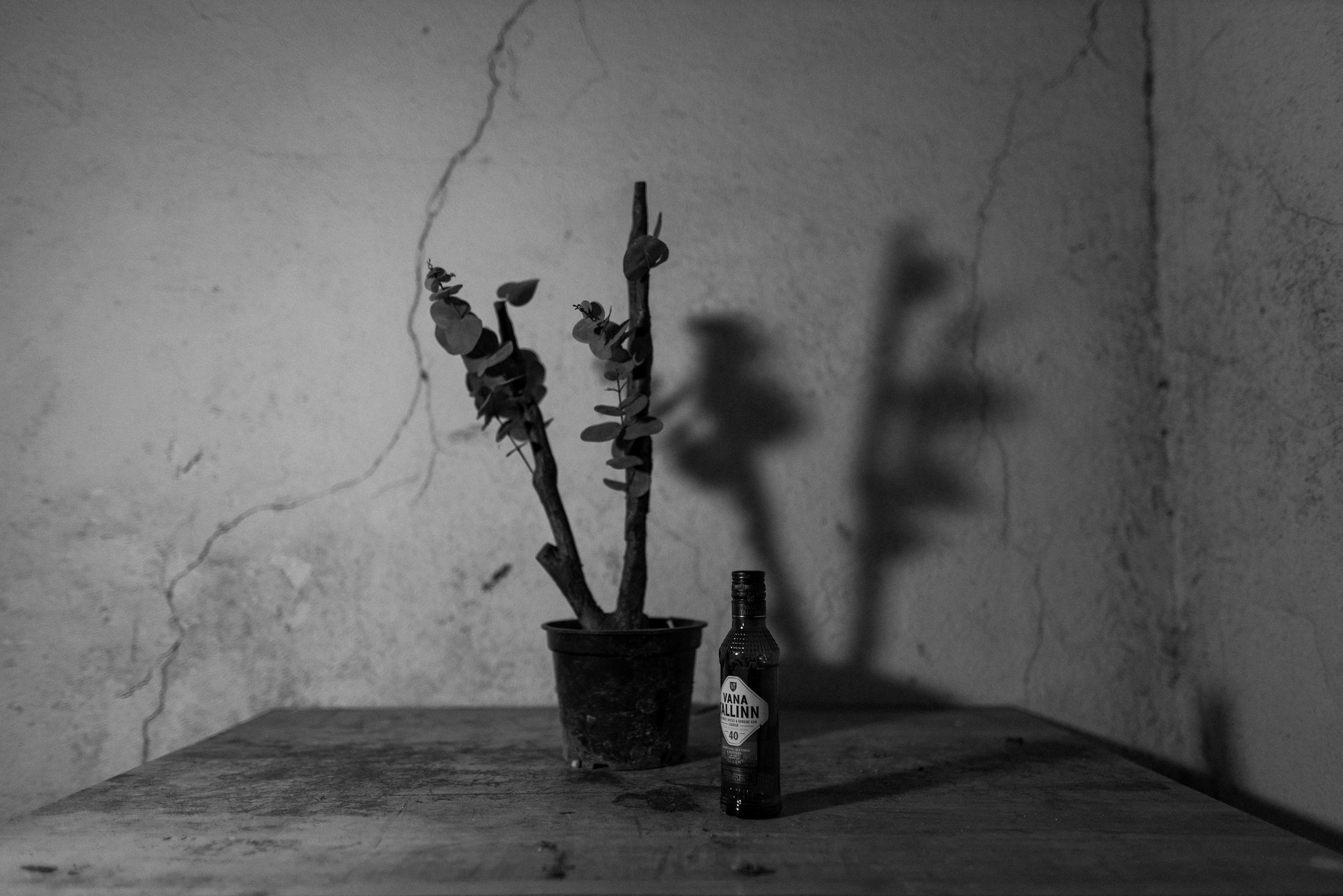 Street Photography. Portree- ja perefotograaf Anton Hansen Tallinnas, Eestis