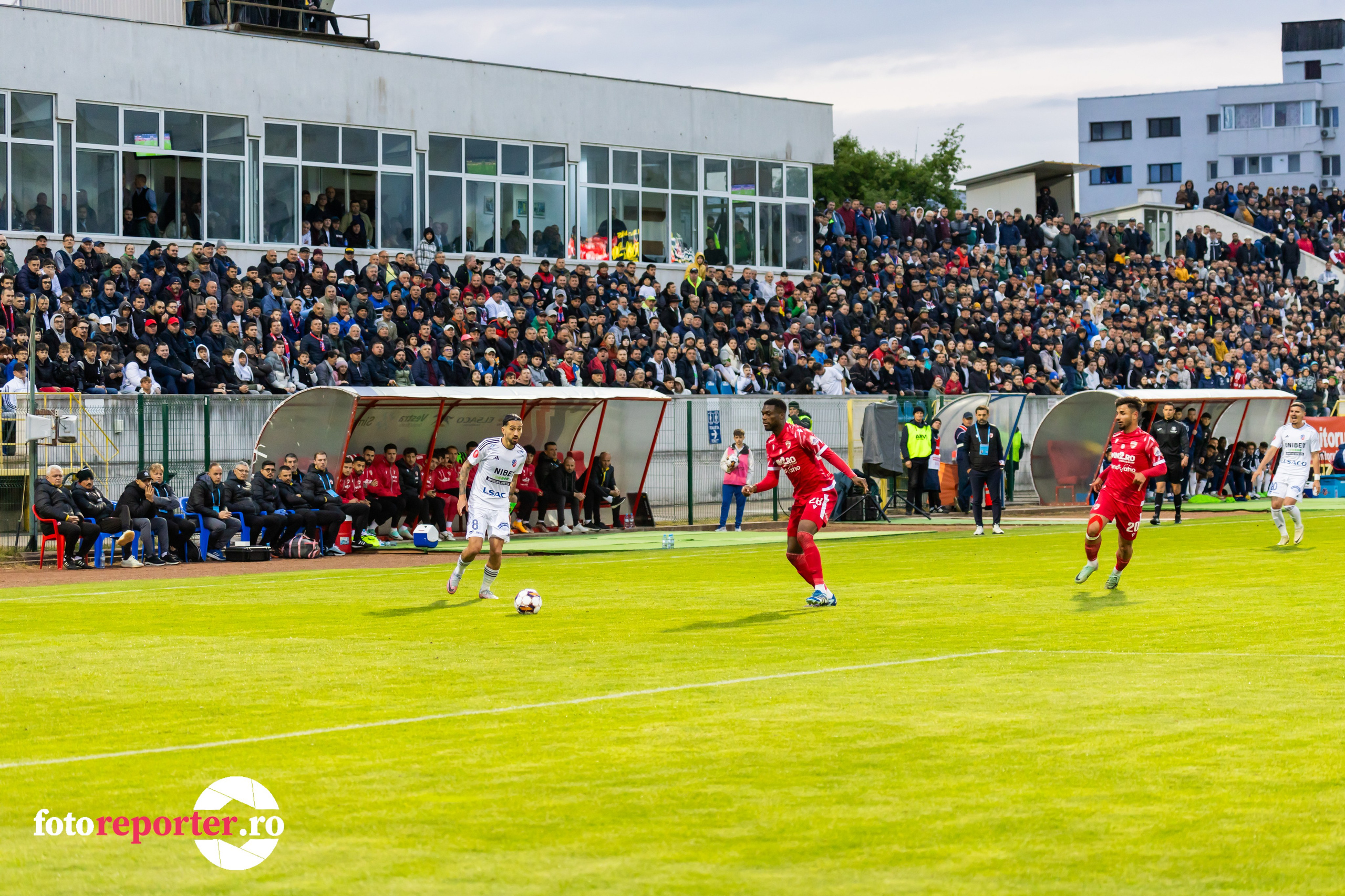 Momente Epice: Galerie foto din meciul de fotbal FC Botoșani vs Dinamo