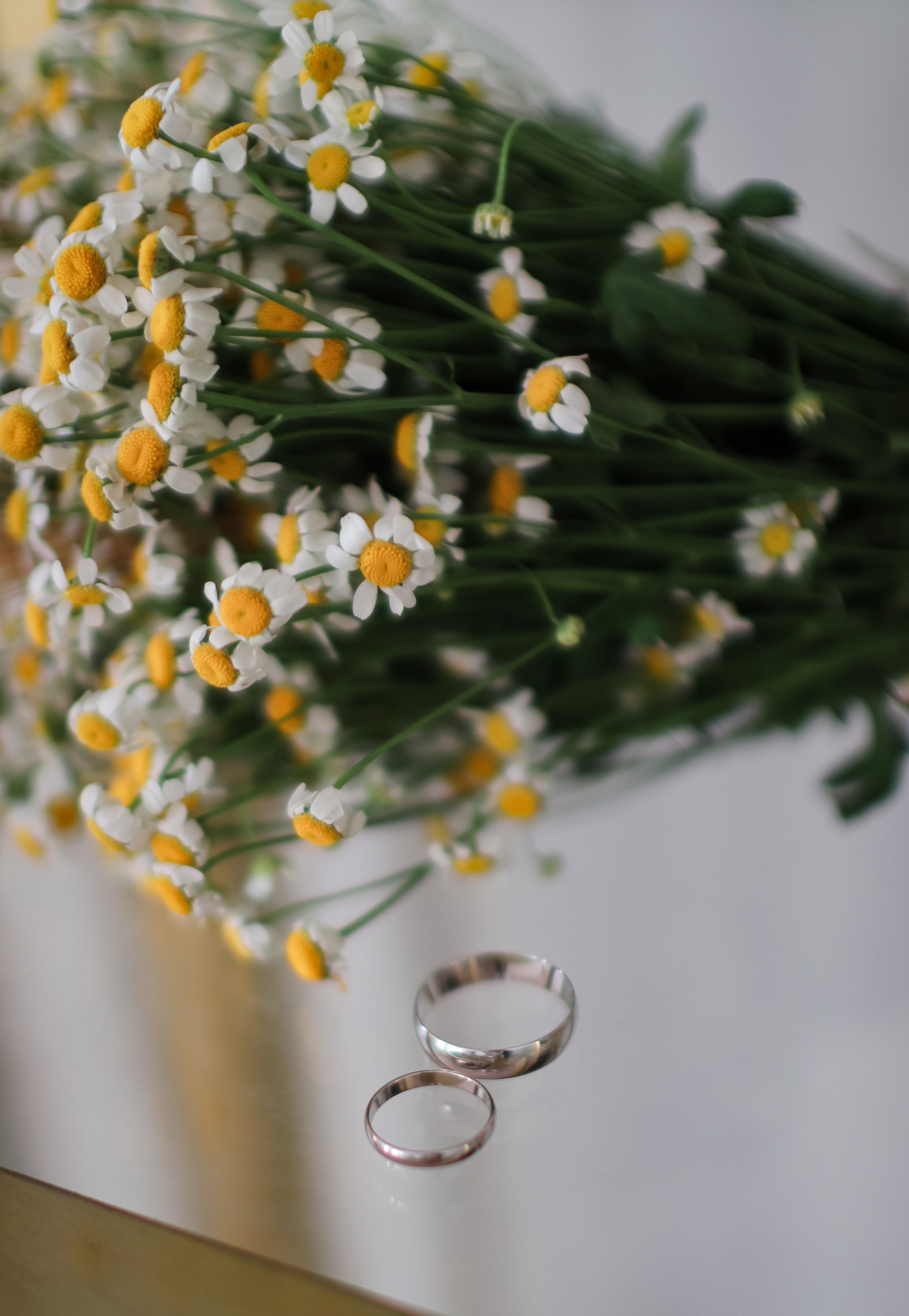 Dima & Anna. Wedding and portrait photographer in Valencia Dmitrii Leonov