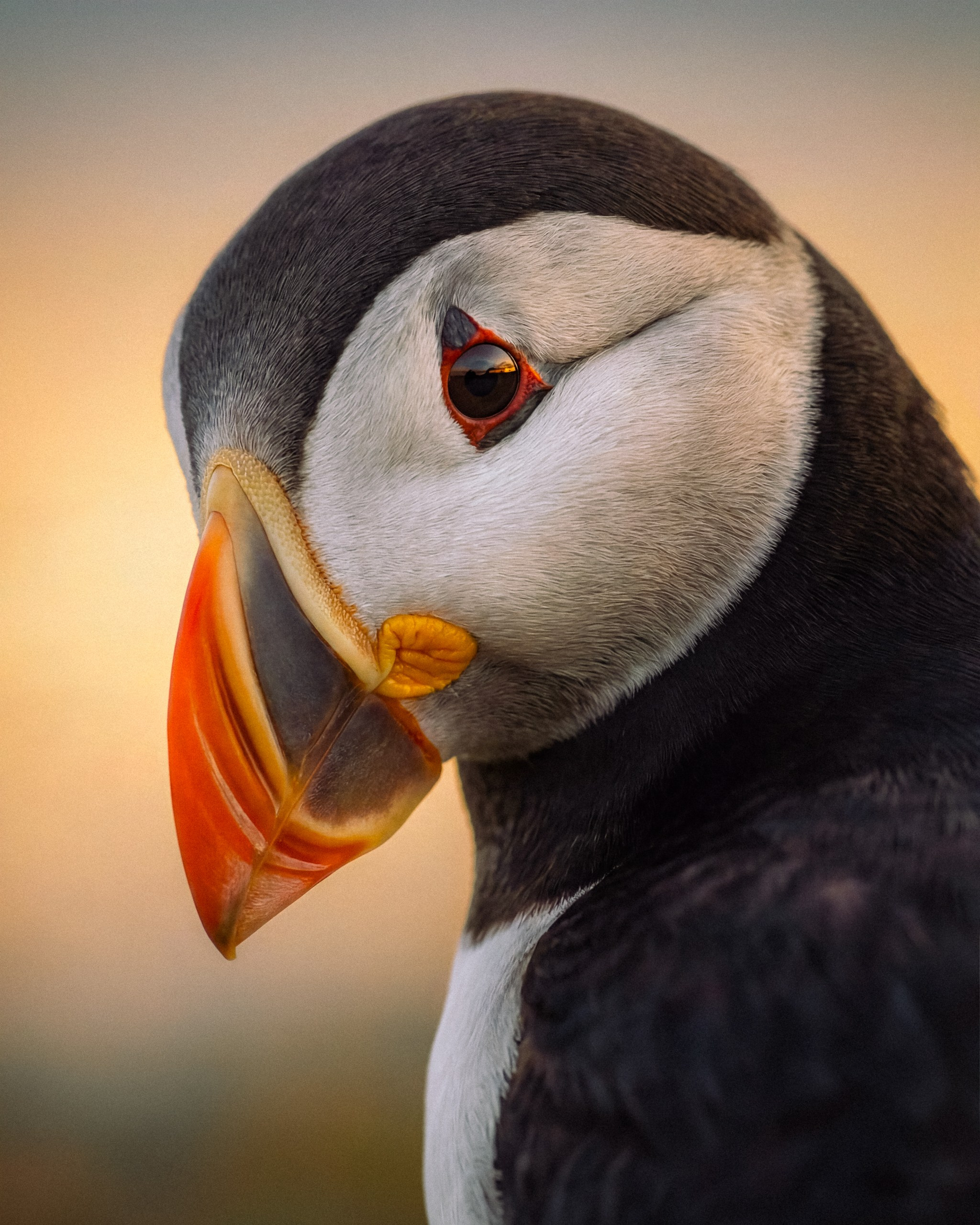 Photos of places around the World