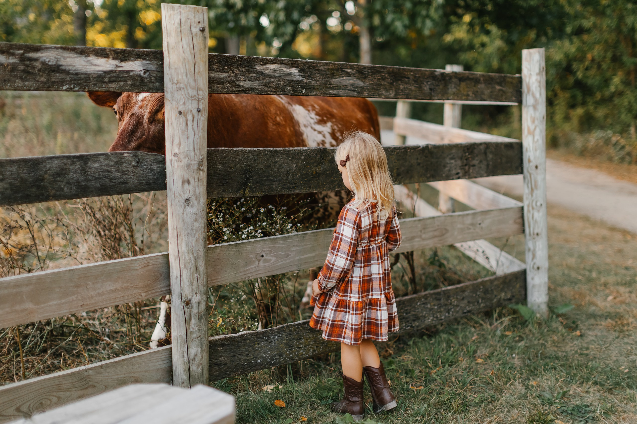 10.05.25 Family Photoshoot. Wedding family event photographer in Chicago Nick Yushevich