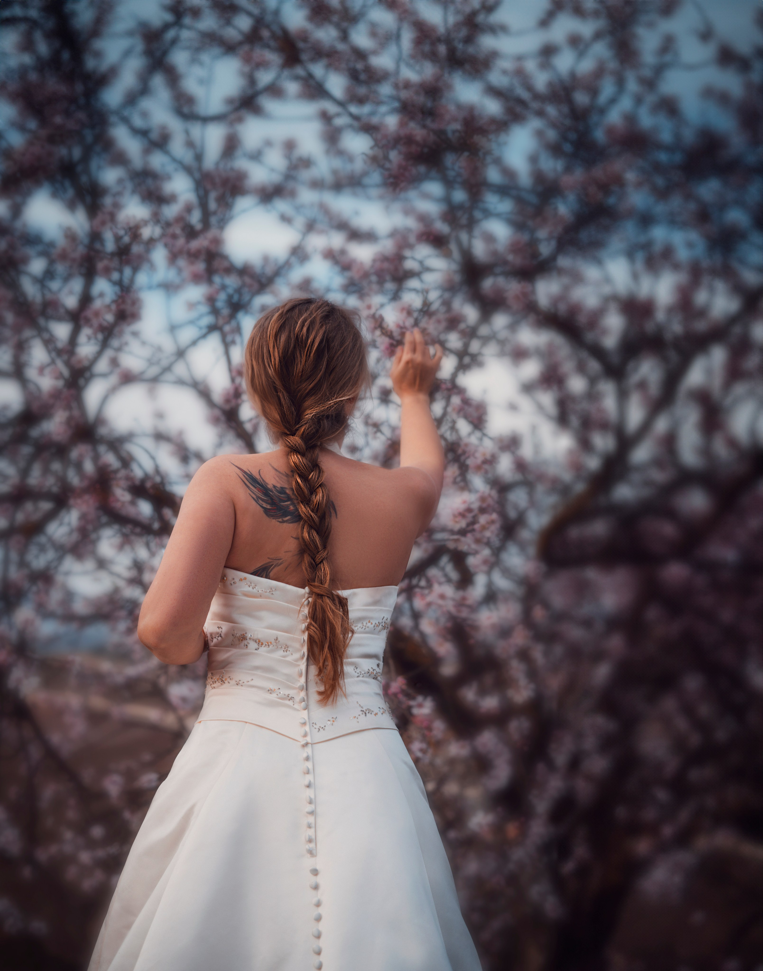 Свадебная прогулка в цветущем миндале. Анастасия Благова — Твой фотограф в Малаге 🇪🇸