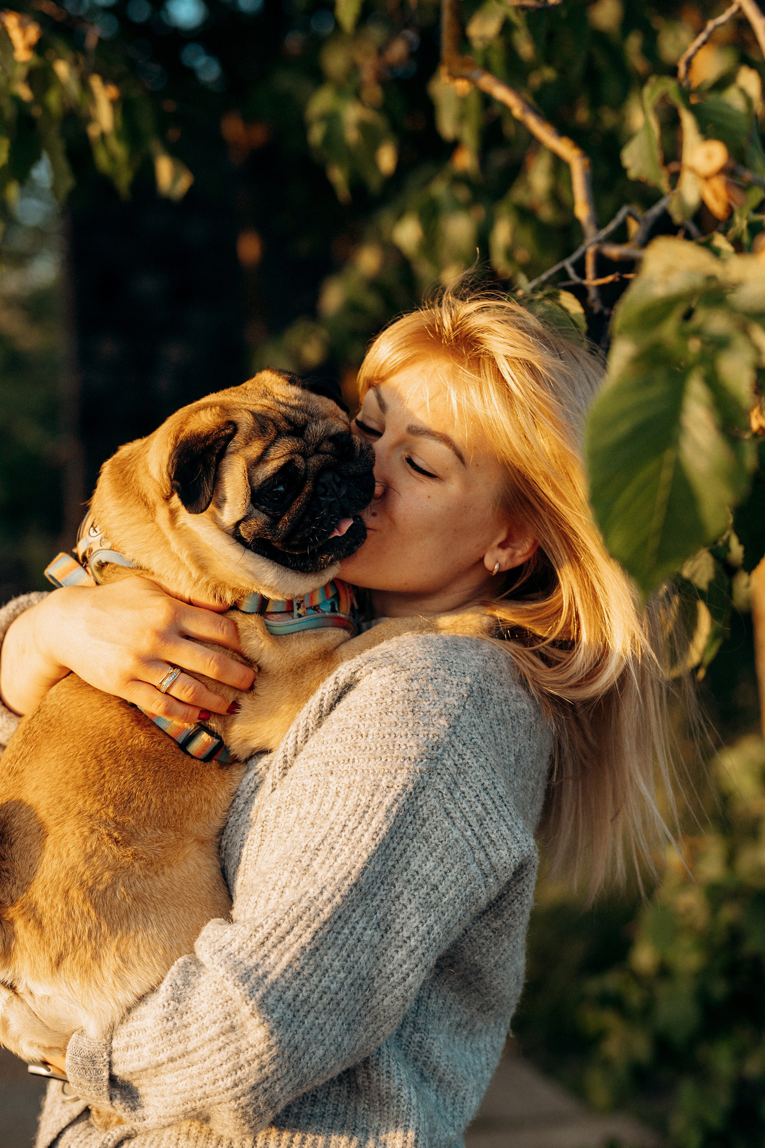 Frank, Tony, Katerina & Lev. Kat Laisaar — Pet photographer in Tallinn