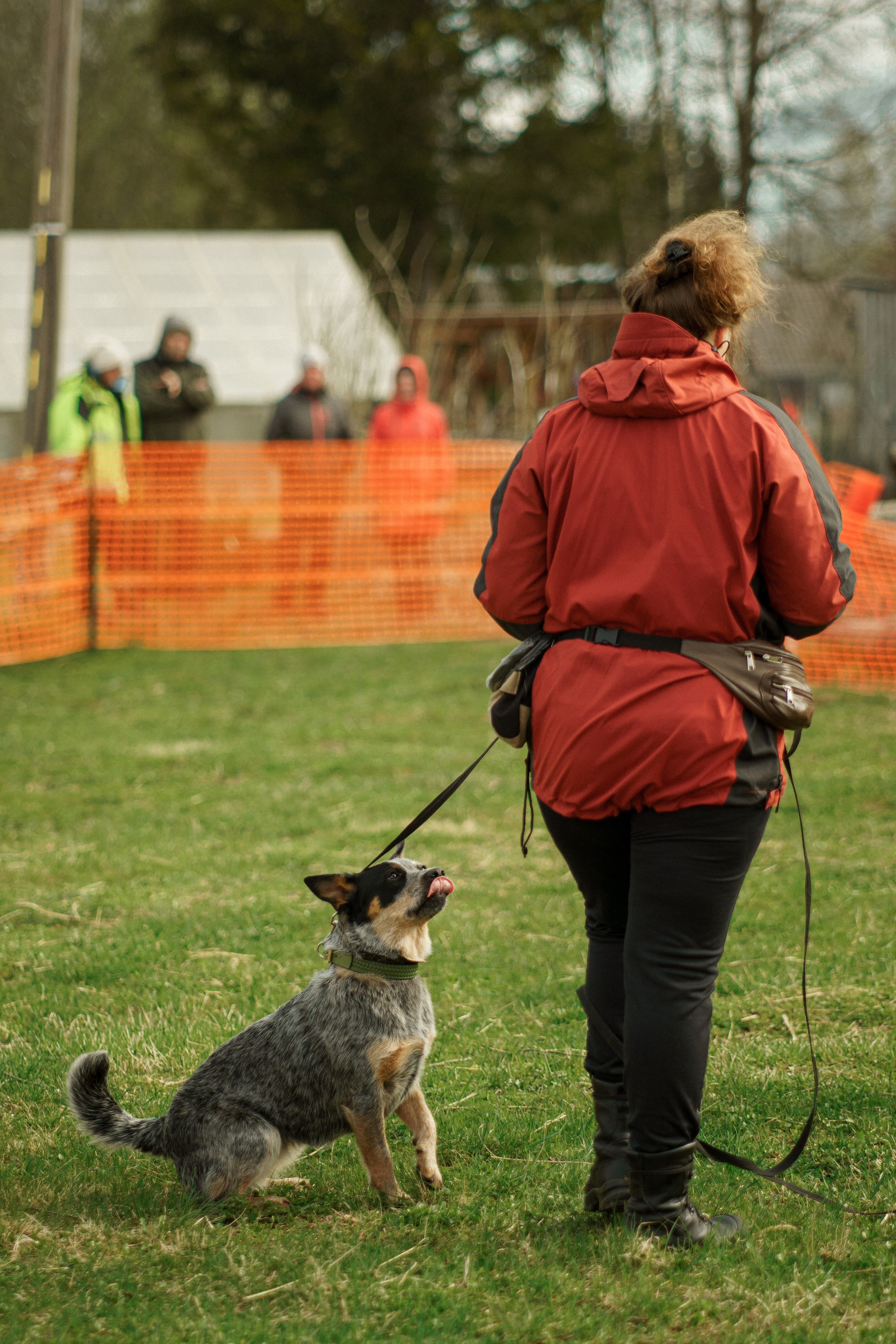 Herding Days, 26 apr. 2025. Kat Laisaar — Pet photographer in Tallinn