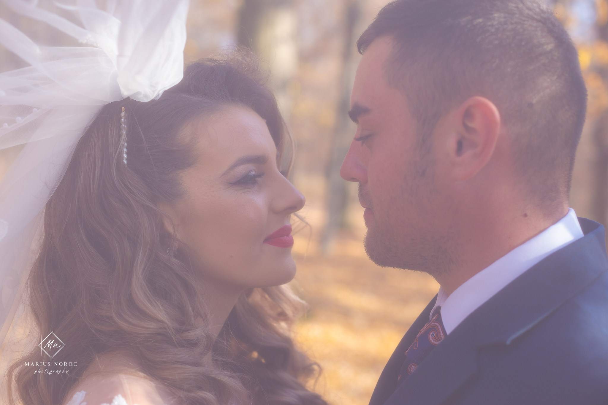 Alexandra & Alin | Padurea Bucium Iasi