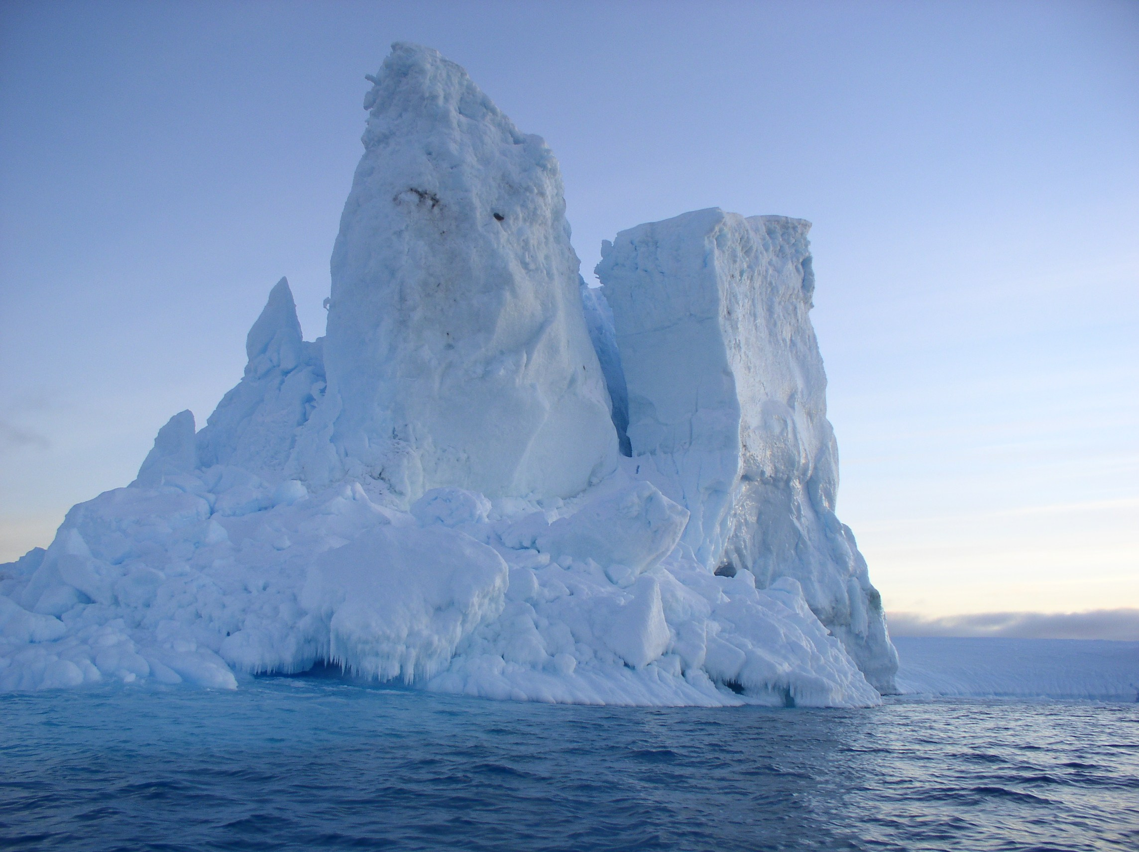 ANTARCTICA. Reportage concert portrait photography in the San Francisco Bay Area