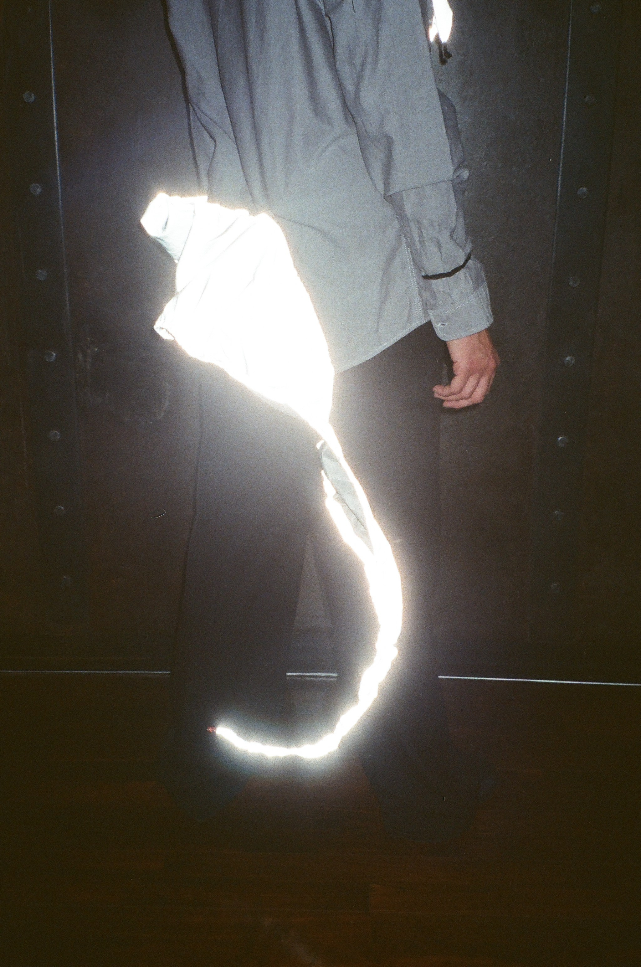 Spira mirabilis| Удивительная спираль. Alina Kugush