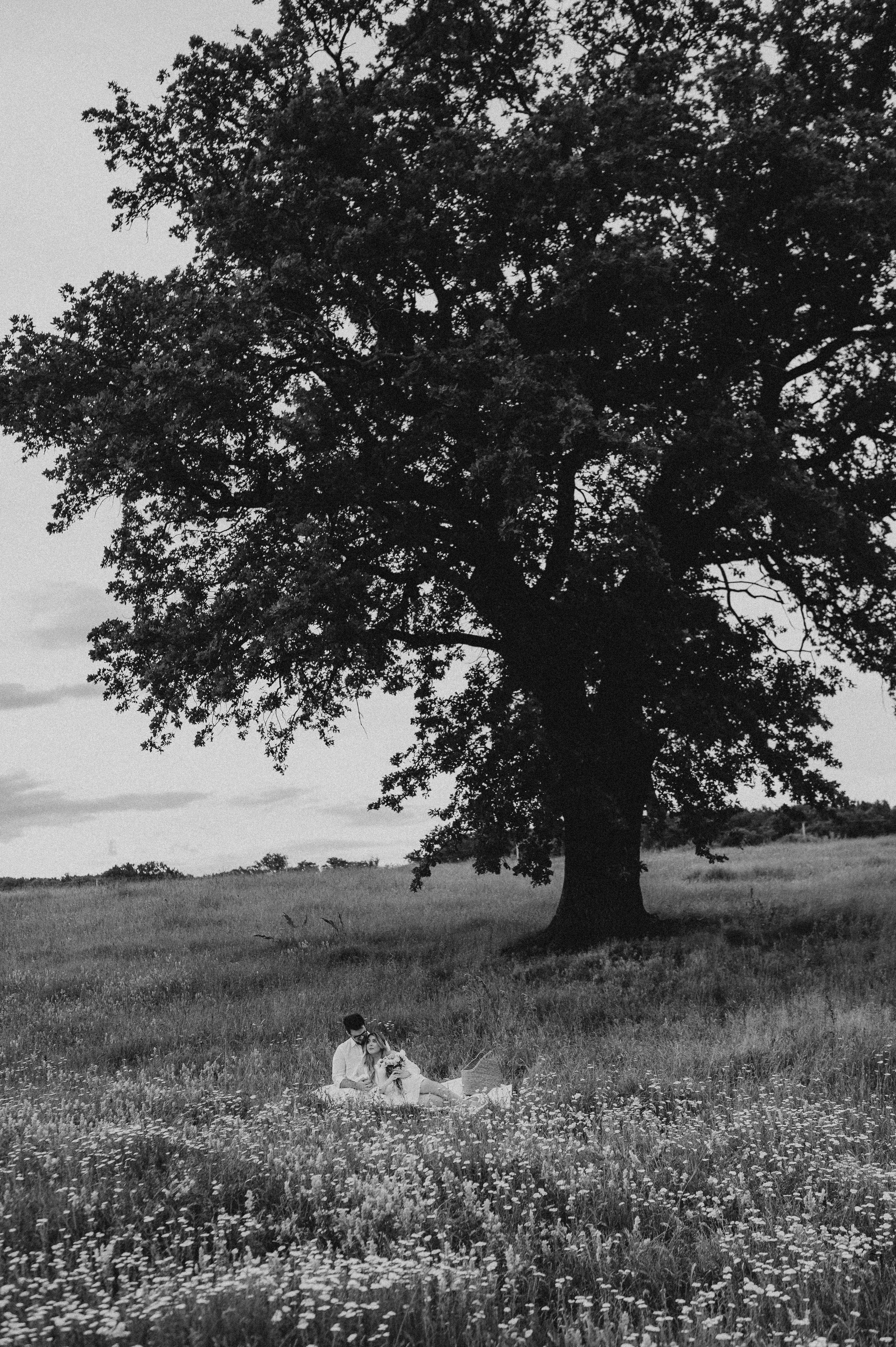 Delia + Luca. Proud Vision Weddings | Wedding Photography & Film — Servicii profesionale Foto Video Nunta Iasi