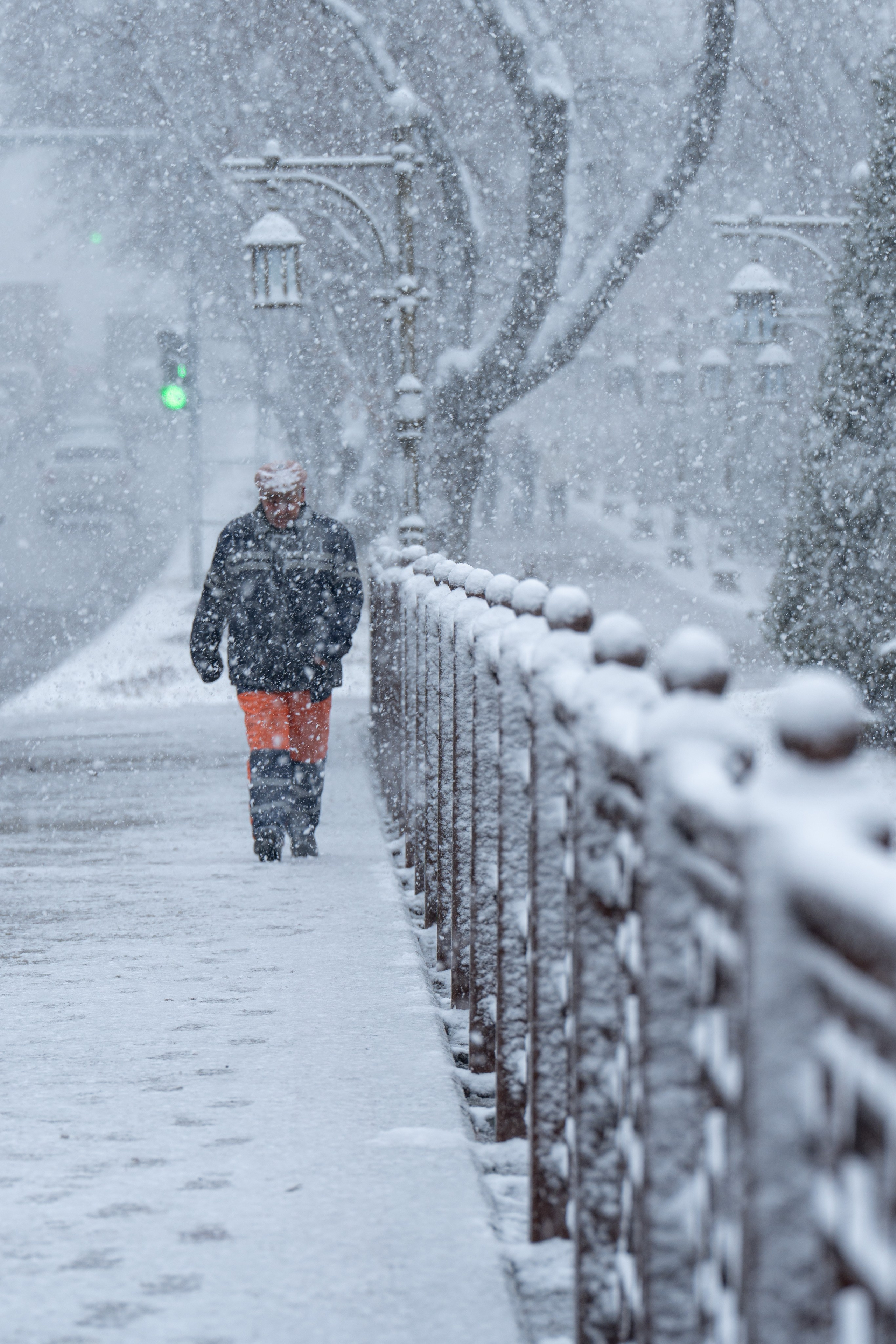 Первый снег в 2024 году. Георгий Намазов | Фотограф в Ташкенте