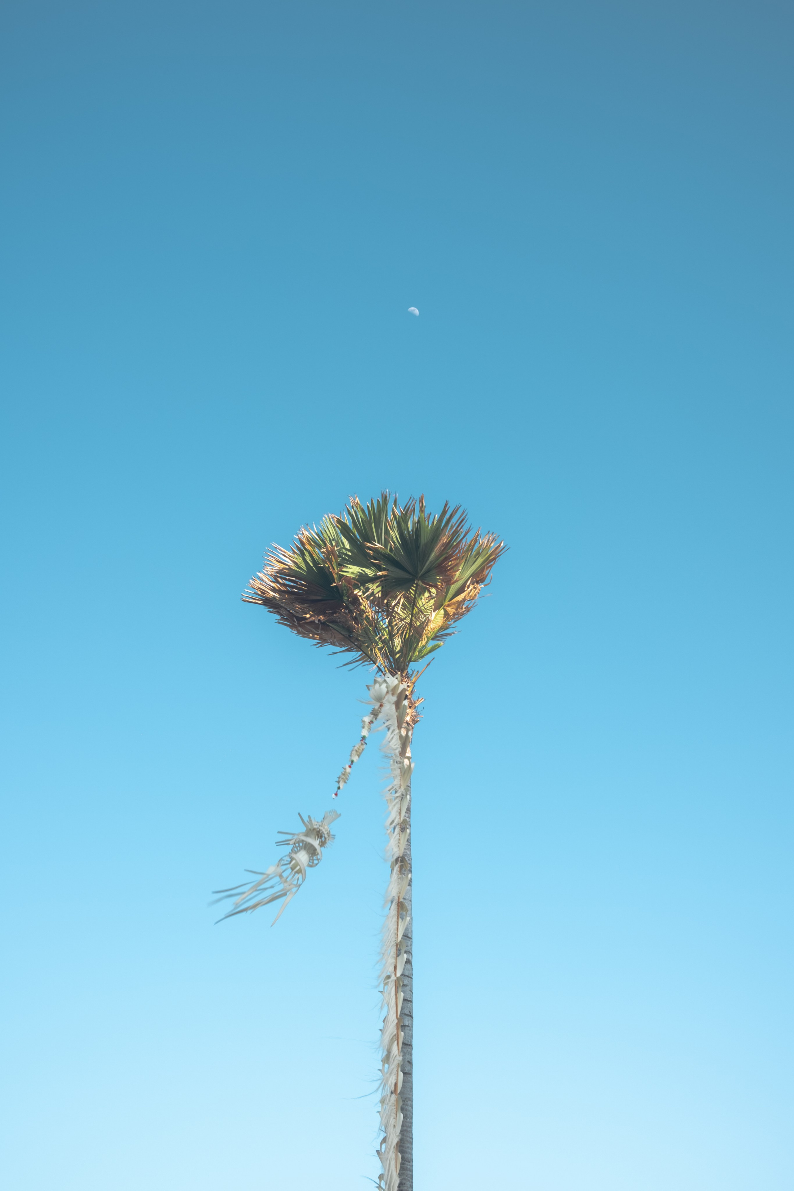 Event photography. Video production in Bali, Photo production in Bali