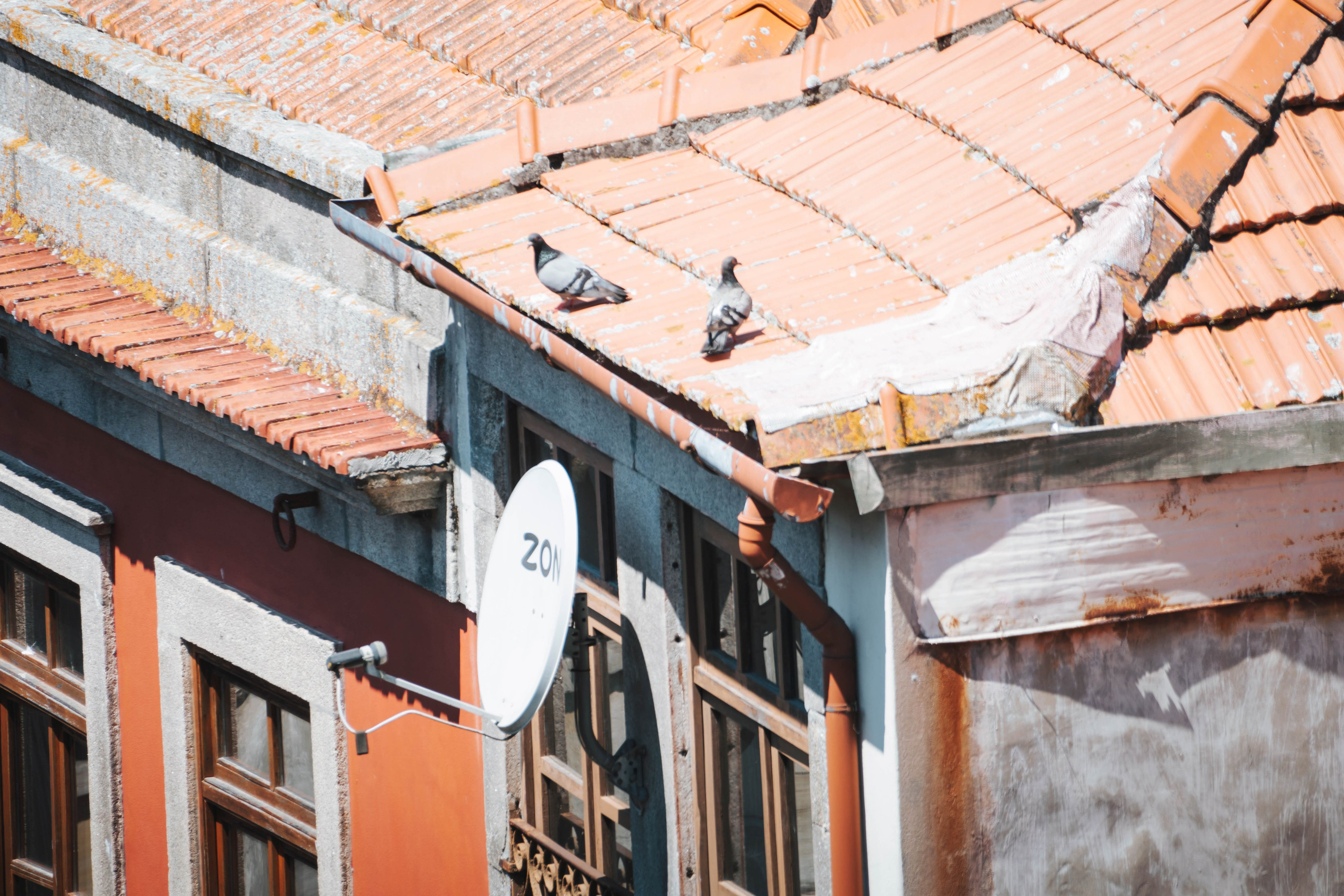 Porto, Agosto 2024. Alba del Norte Studio